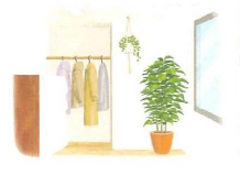 日々の暮らしに緑を 心潤うボタニカルライフを始めよう！