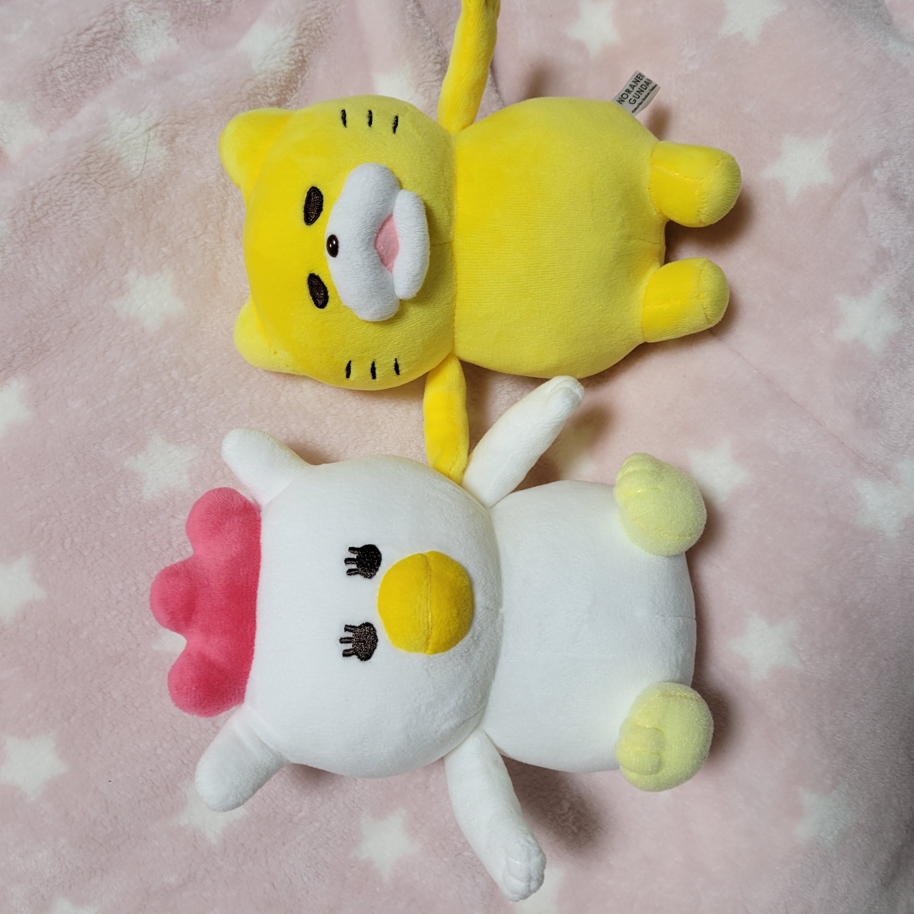 ノラネコぐんだん展