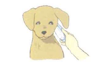 ペットの秋の抜け毛対策