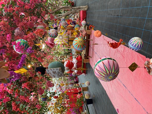 ブーゲンビリア