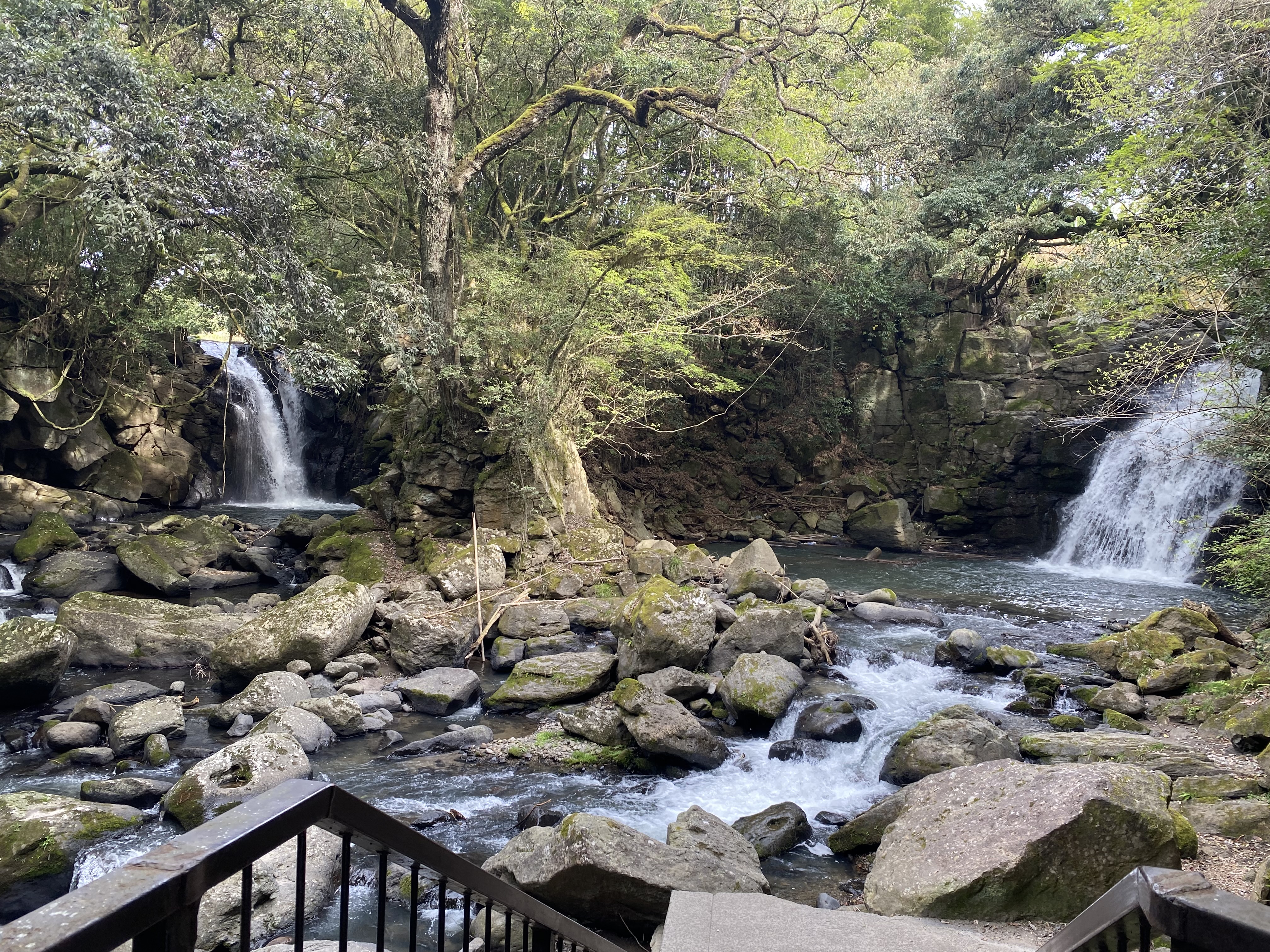 image_50744833.JPG