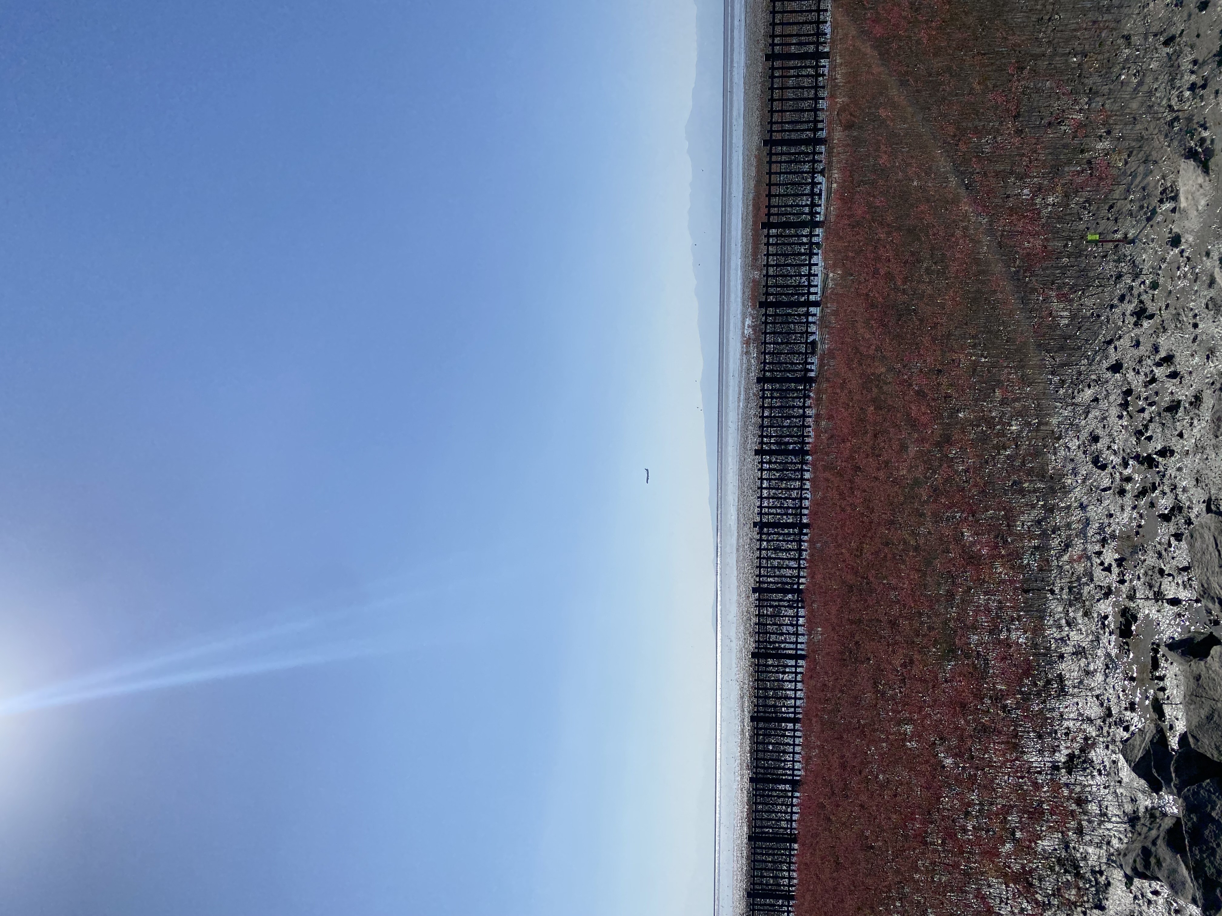 IMG_7869.jpeg