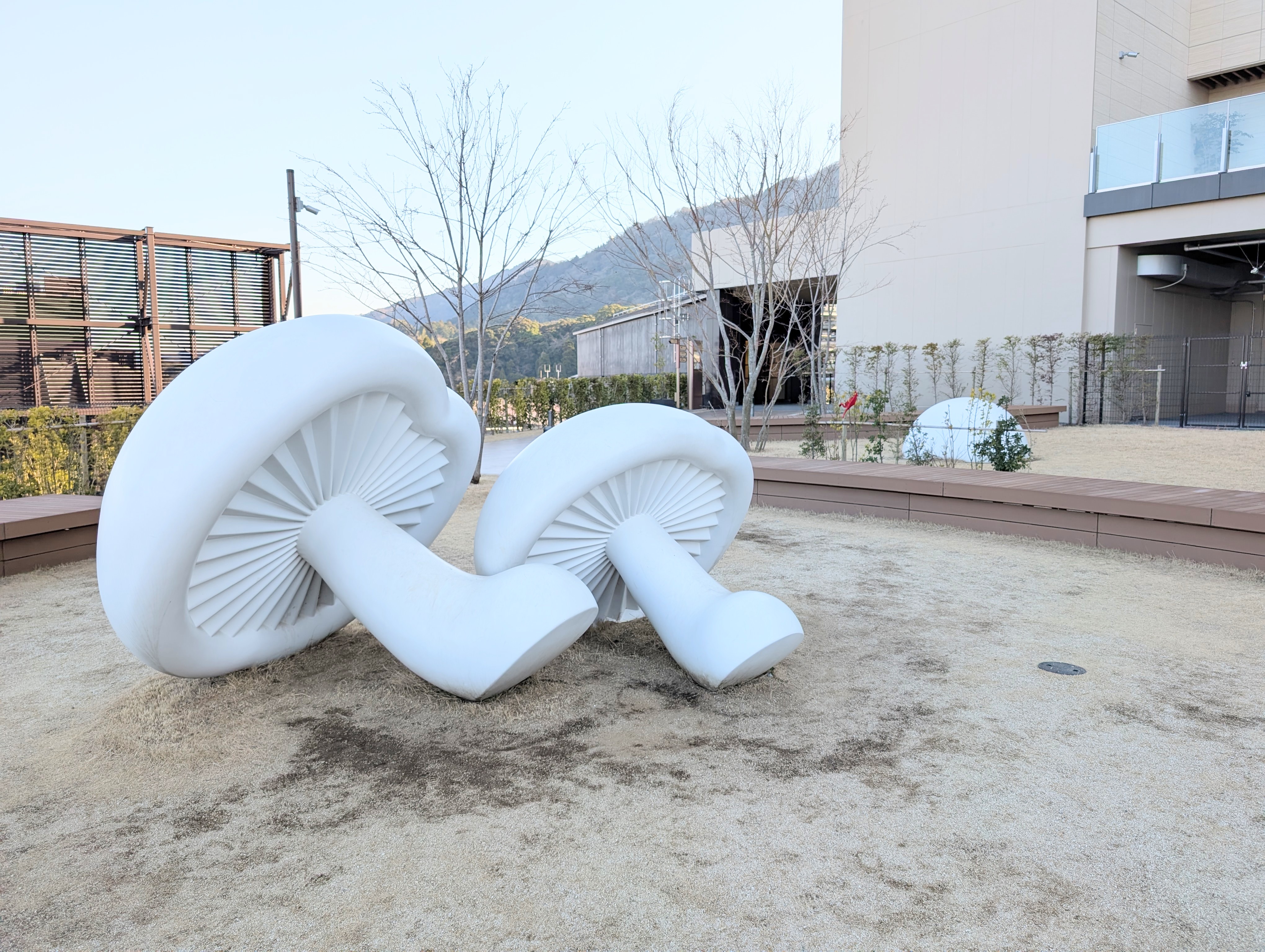 しいたけとかぼす