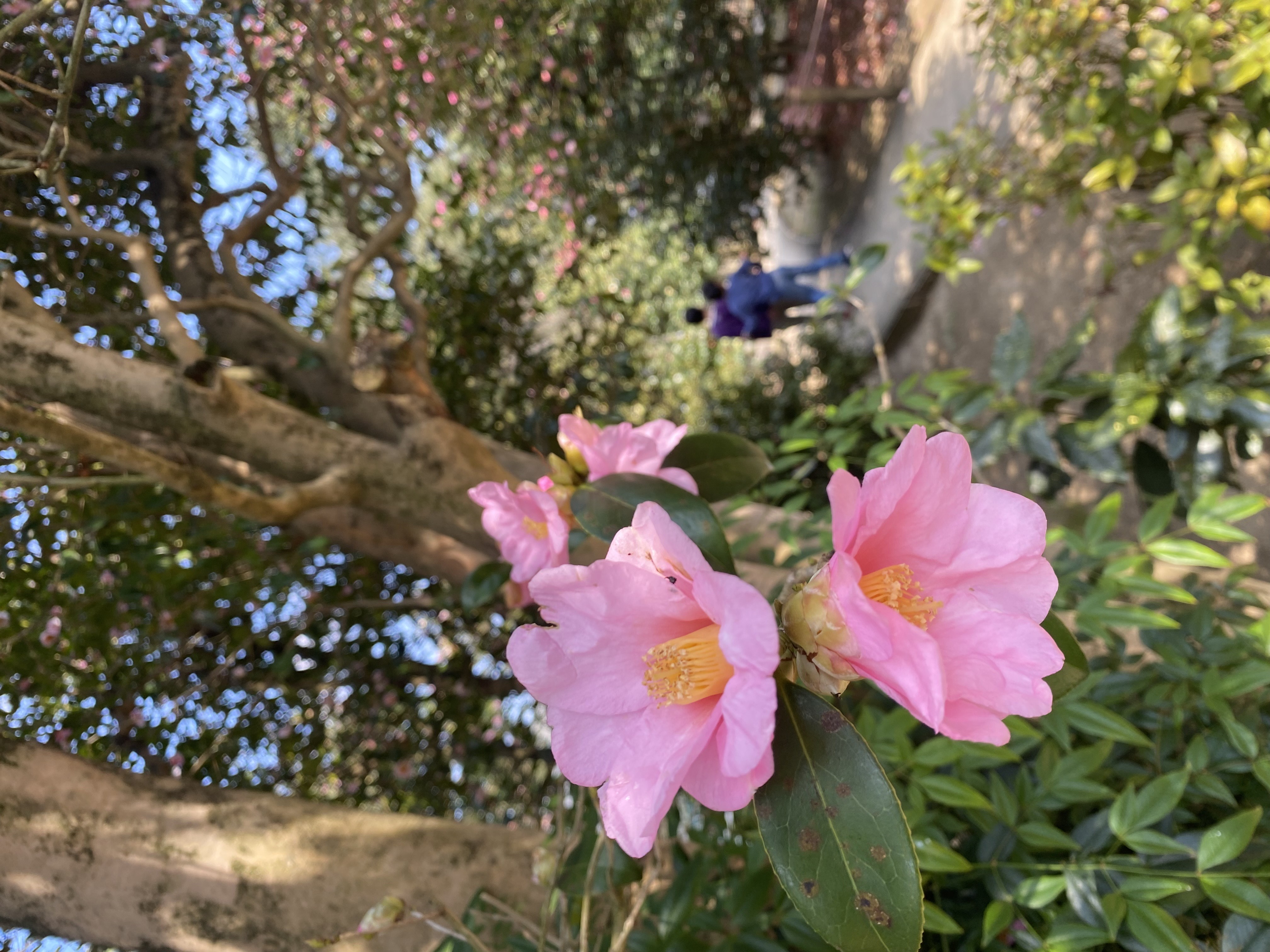 IMG_9044.jpeg