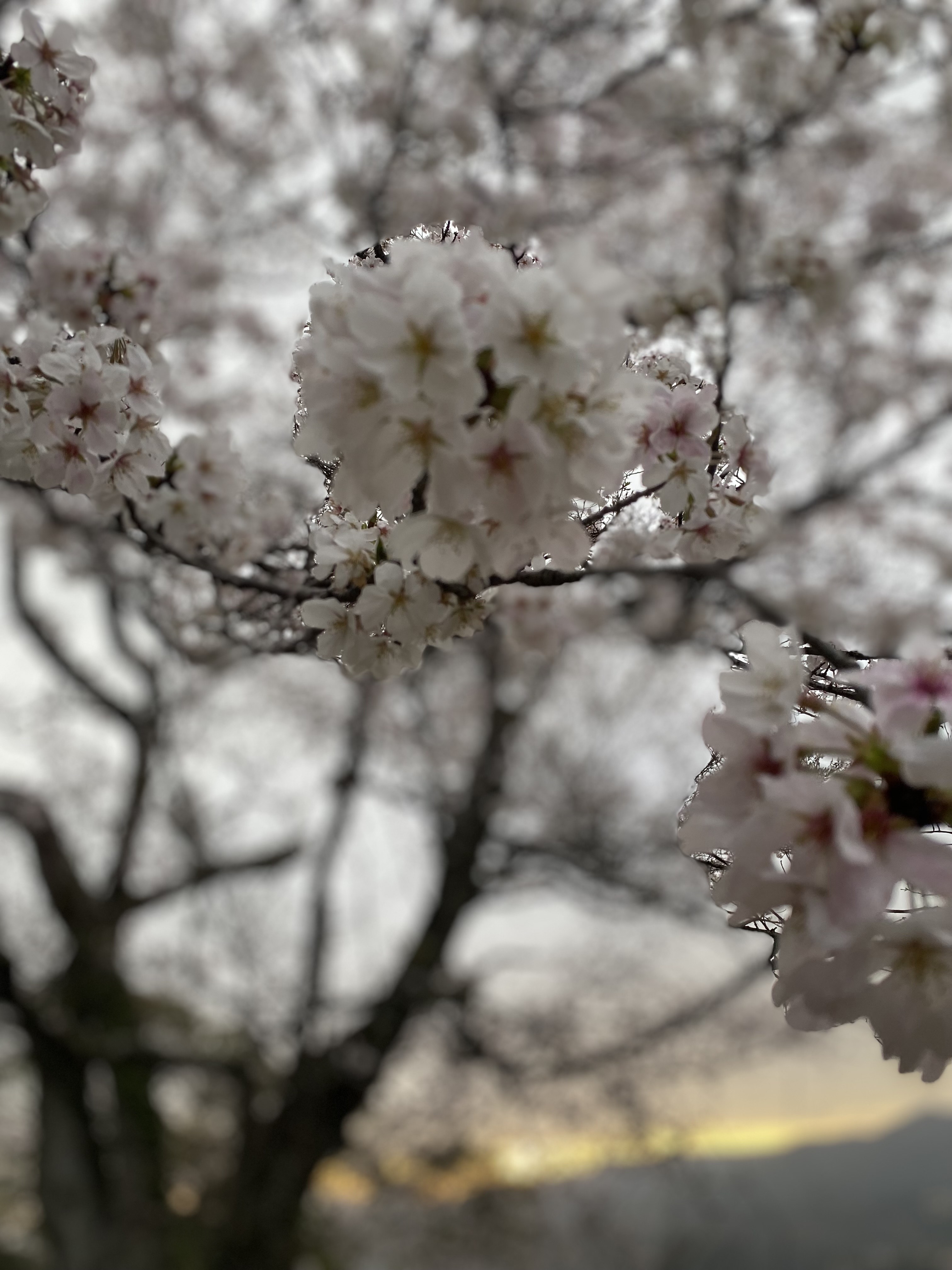 IMG_9434.jpeg
