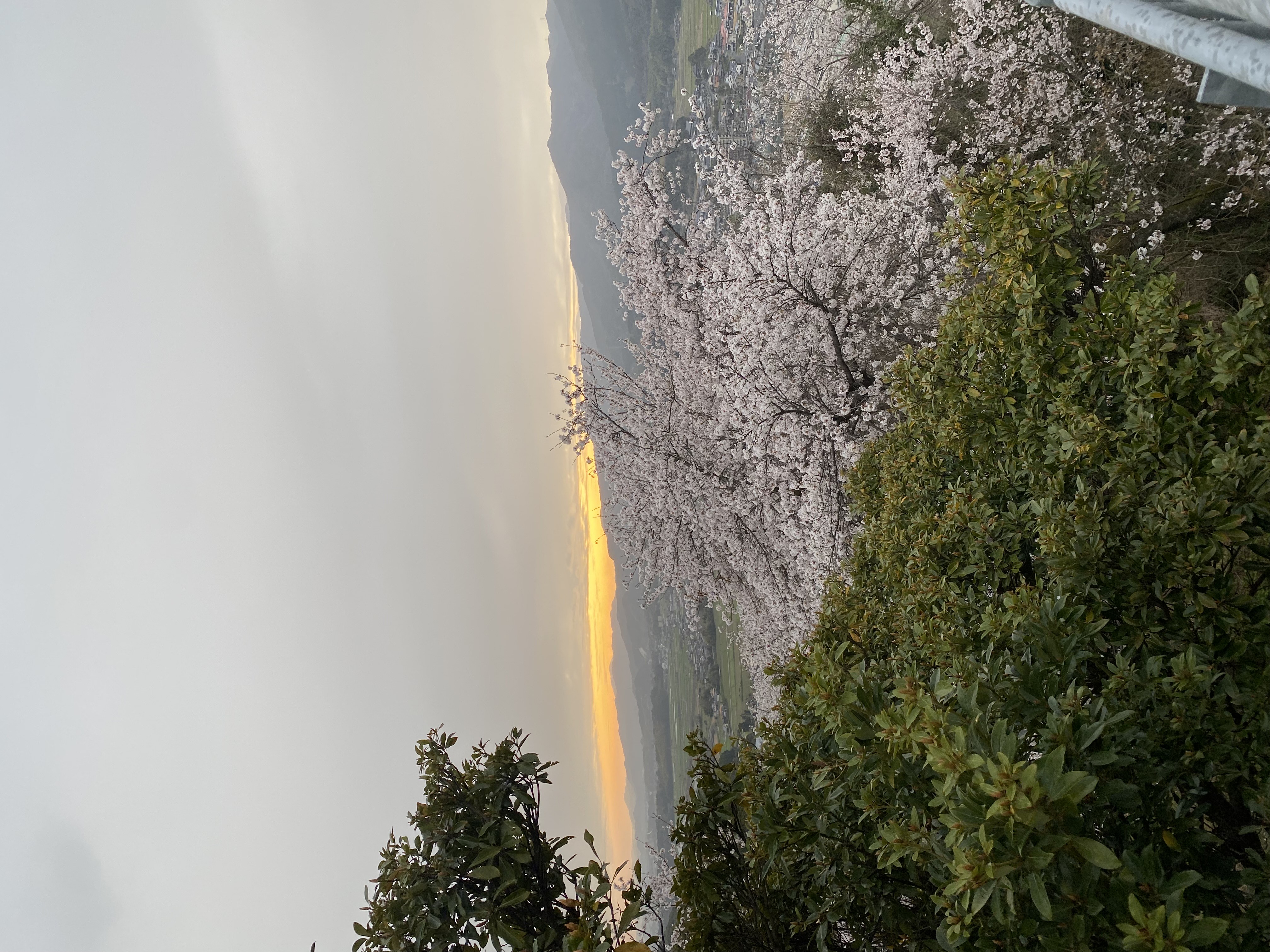 IMG_9428.jpeg
