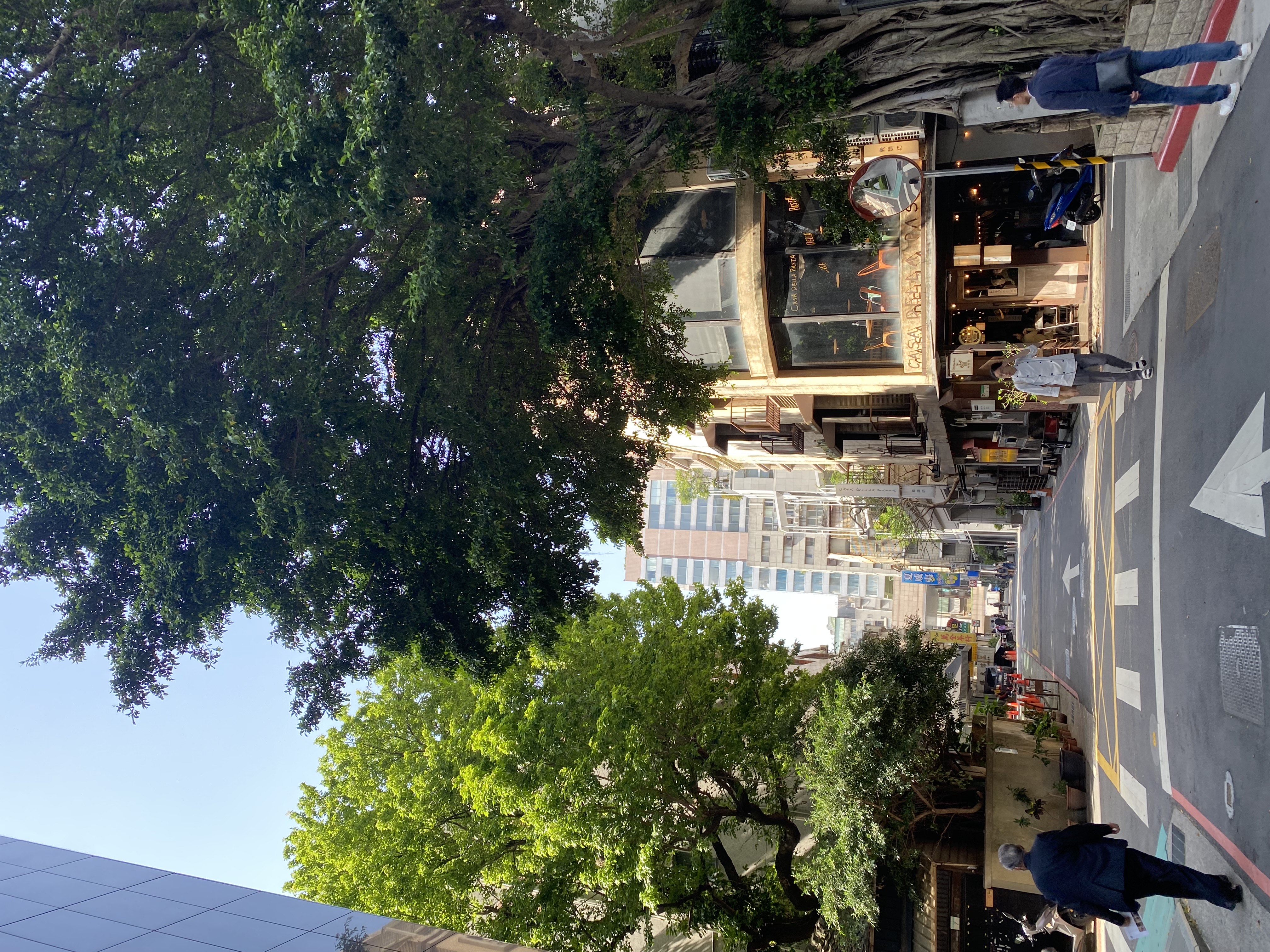 IMG_9650.jpeg