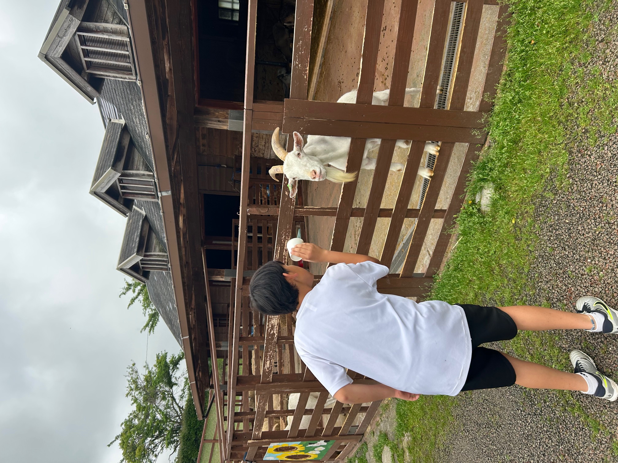 image1.jpeg