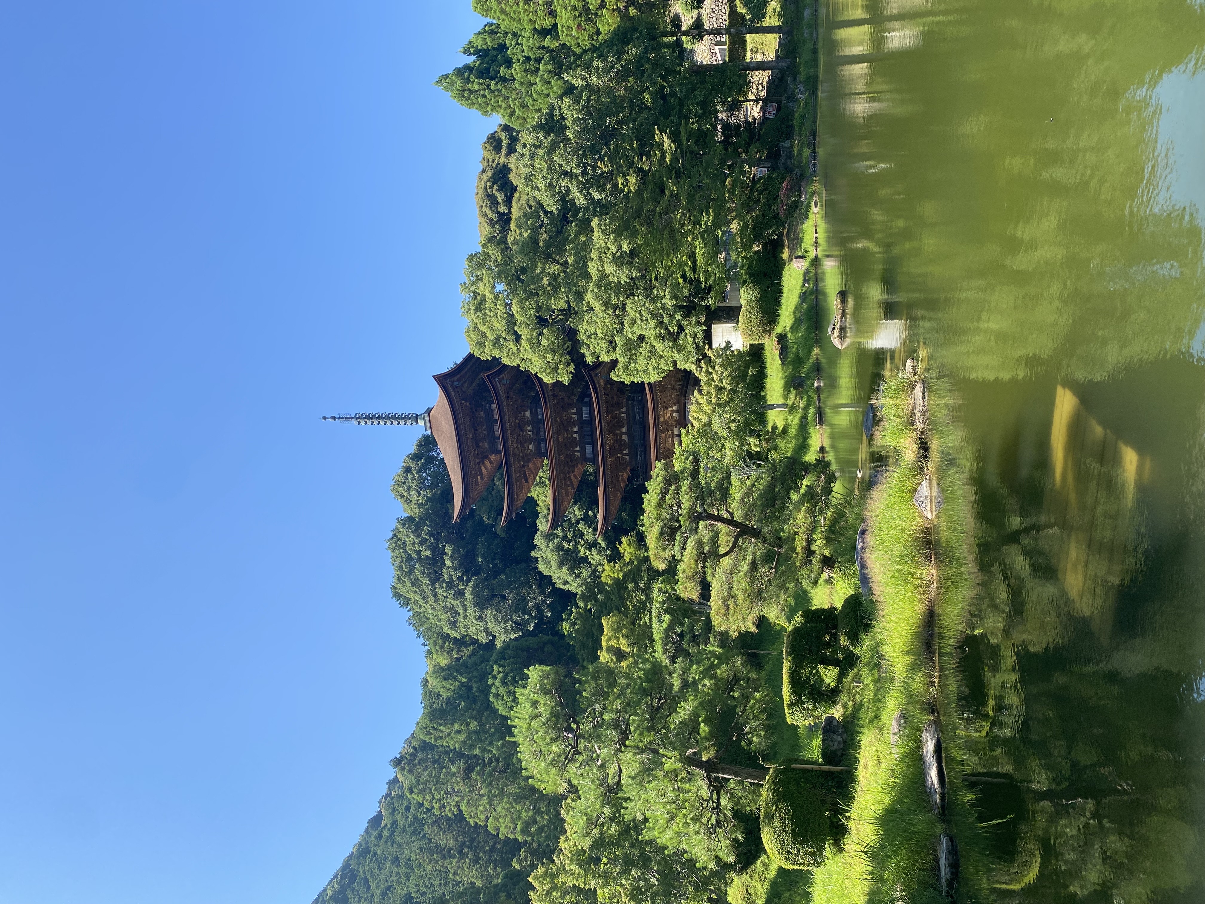 IMG_1027.jpeg