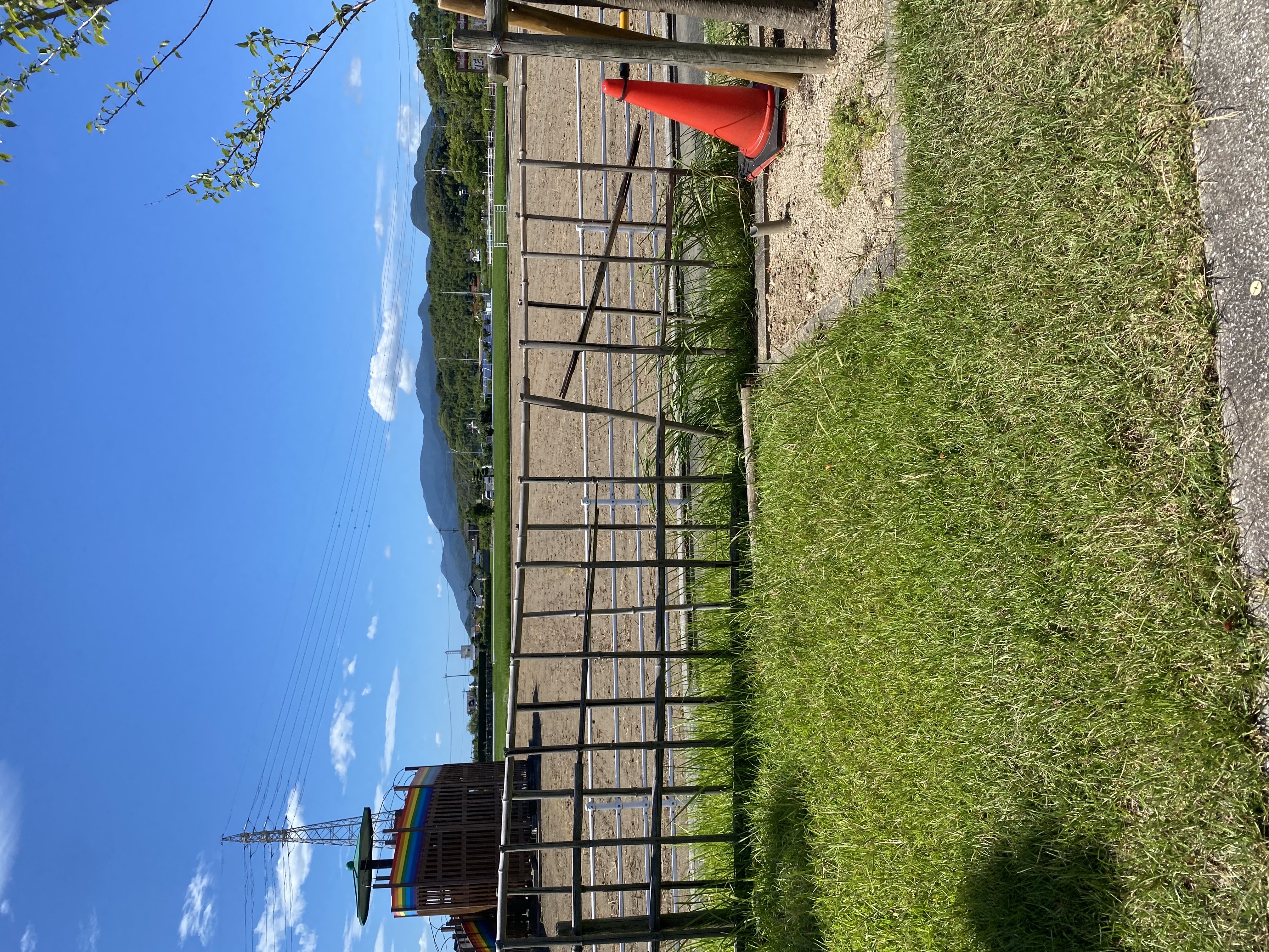 IMG_1362.jpeg