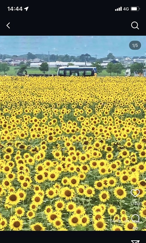 道の駅　おおとう