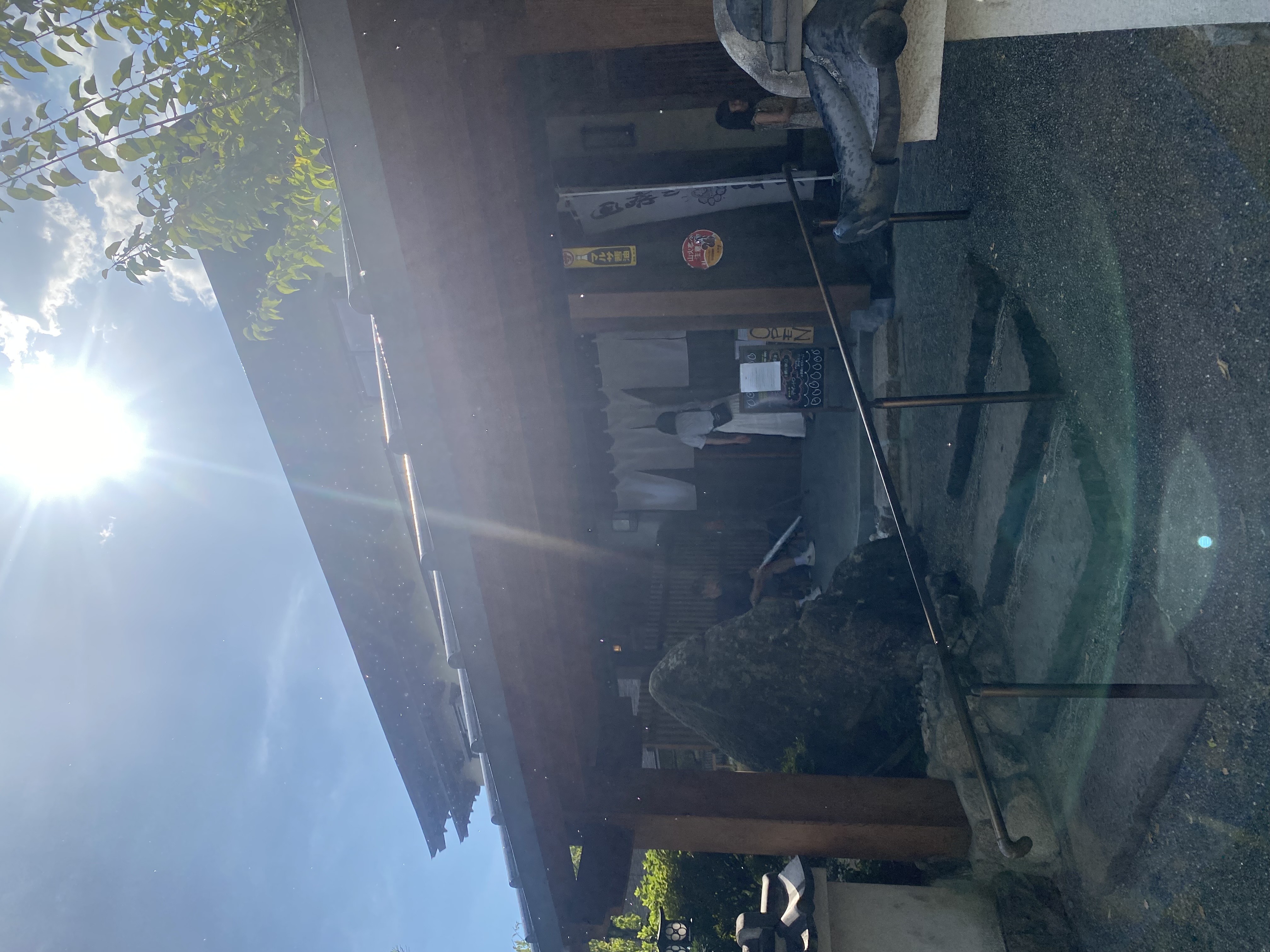 IMG_1511.jpeg