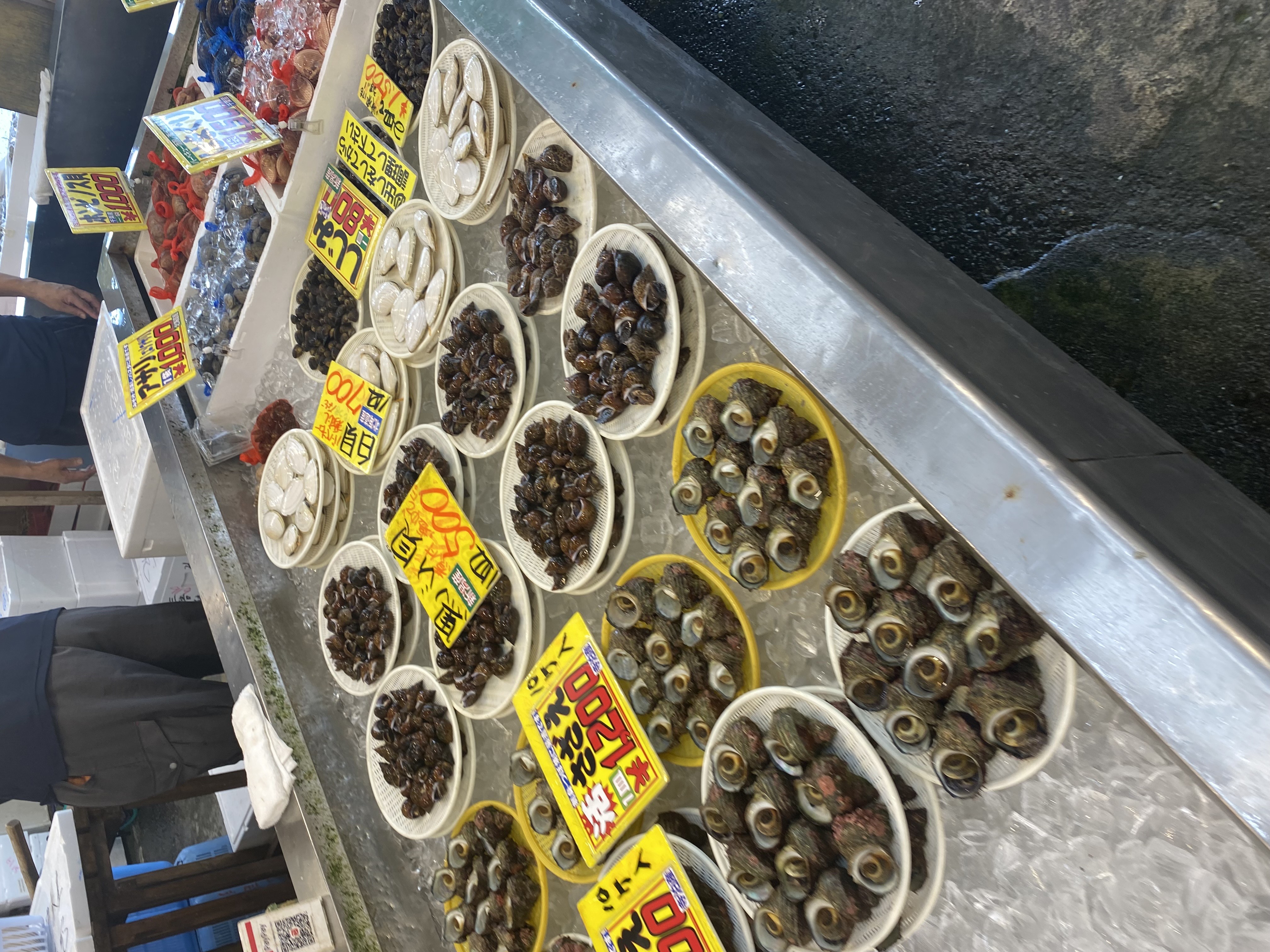 IMG_2040.jpeg