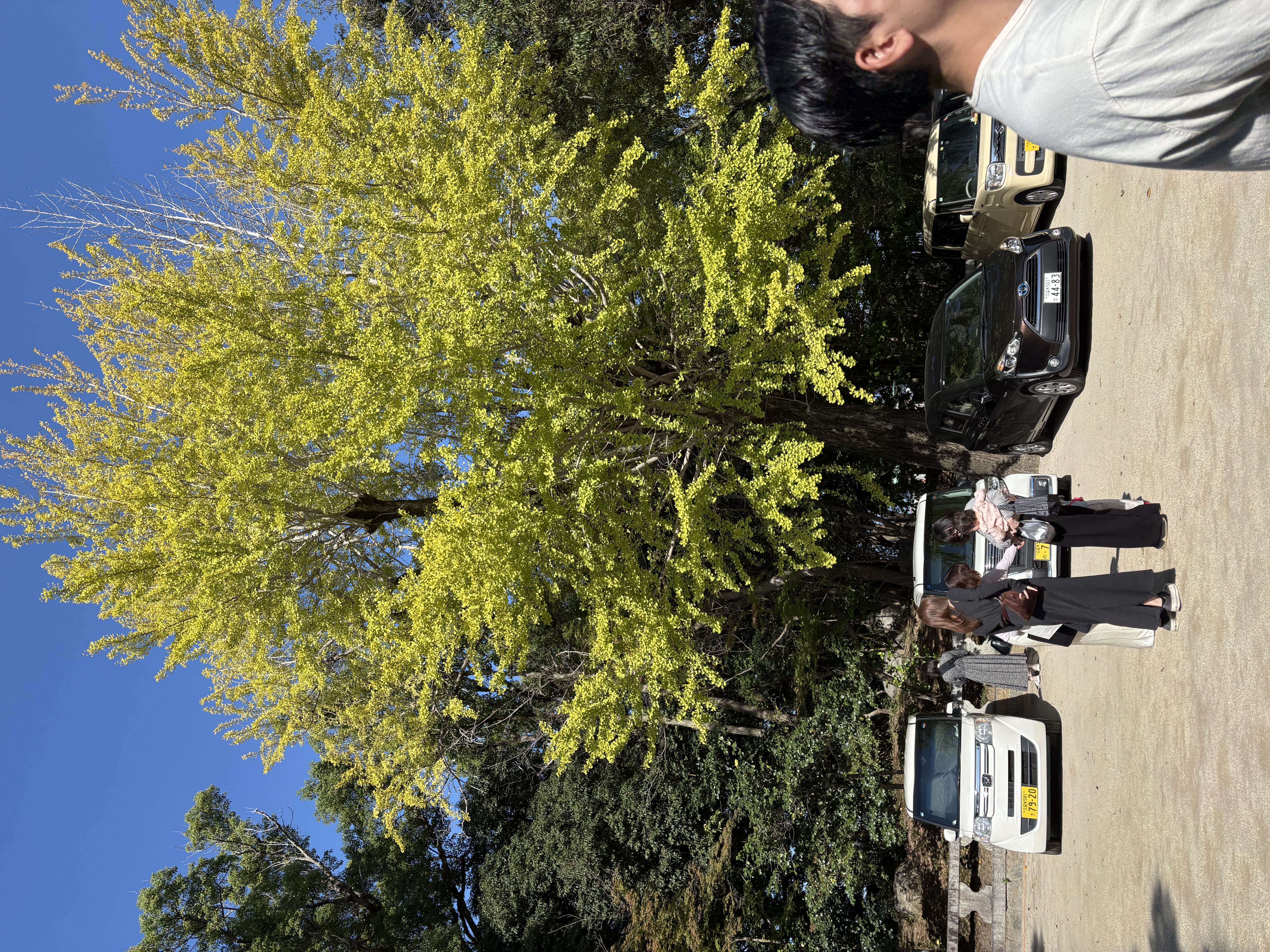 IMG_7650.jpeg