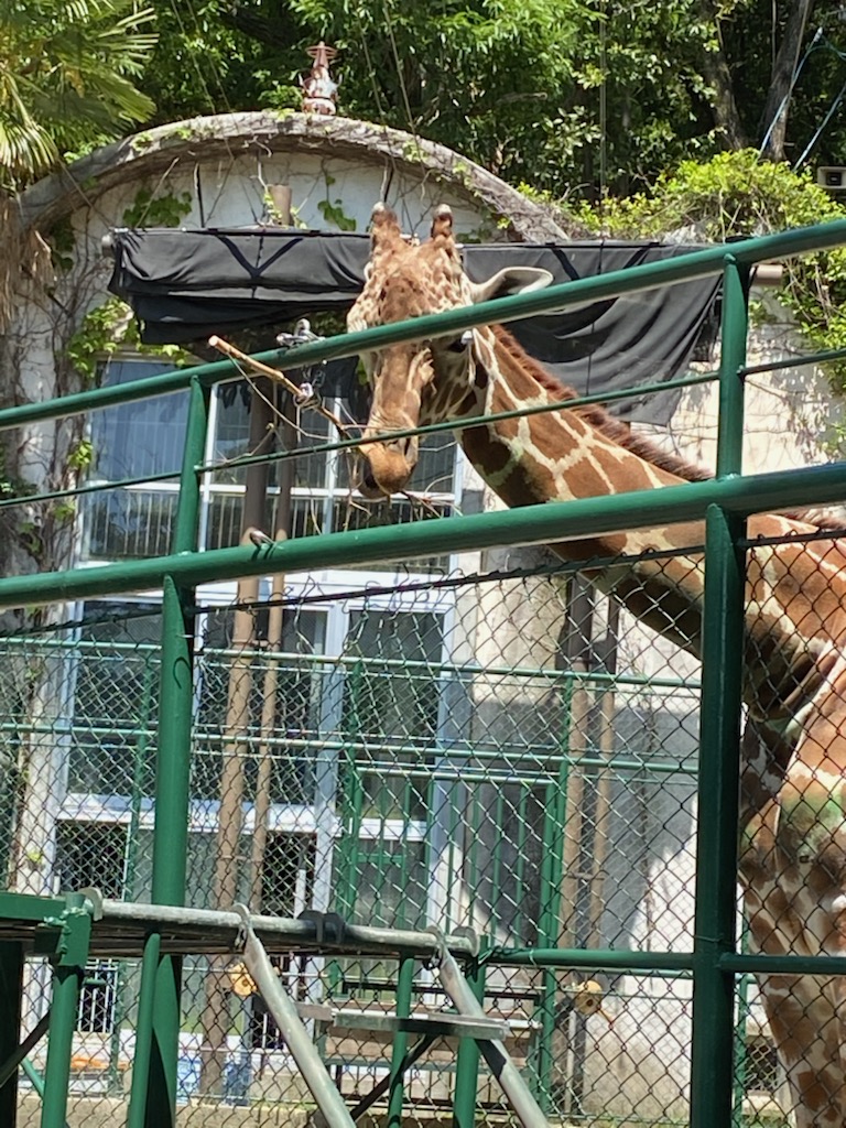 動物園