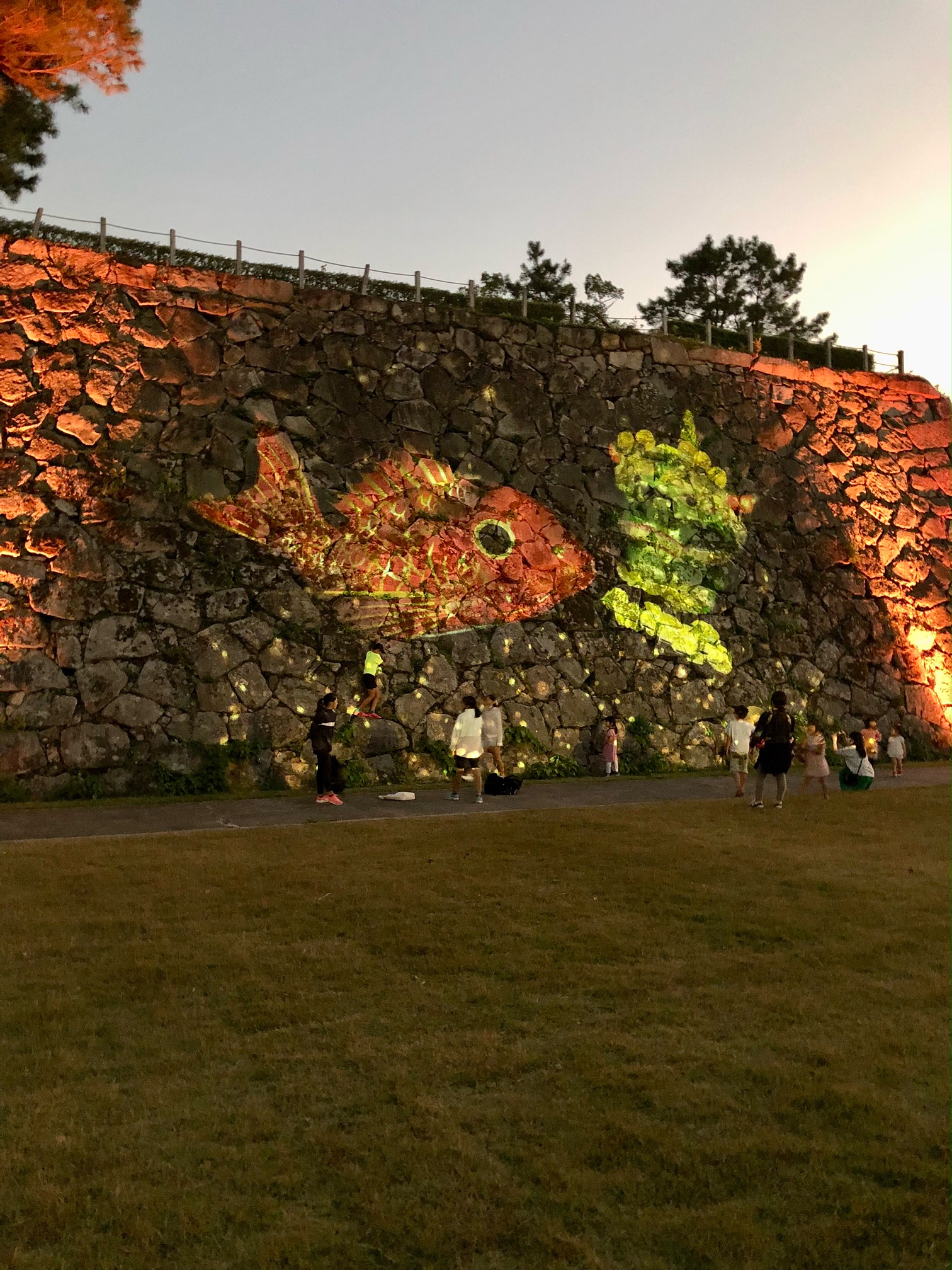 佐賀城ライトアップ