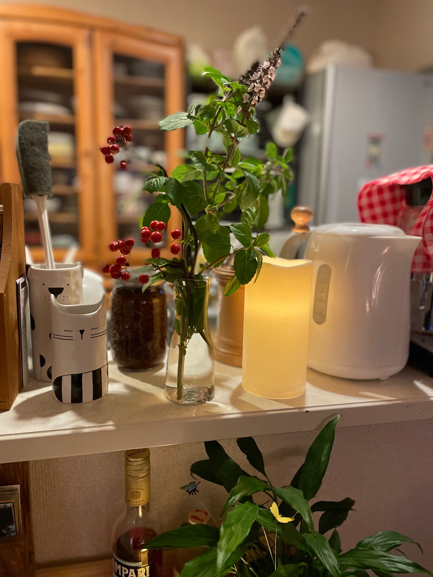 バジルとサンキライ