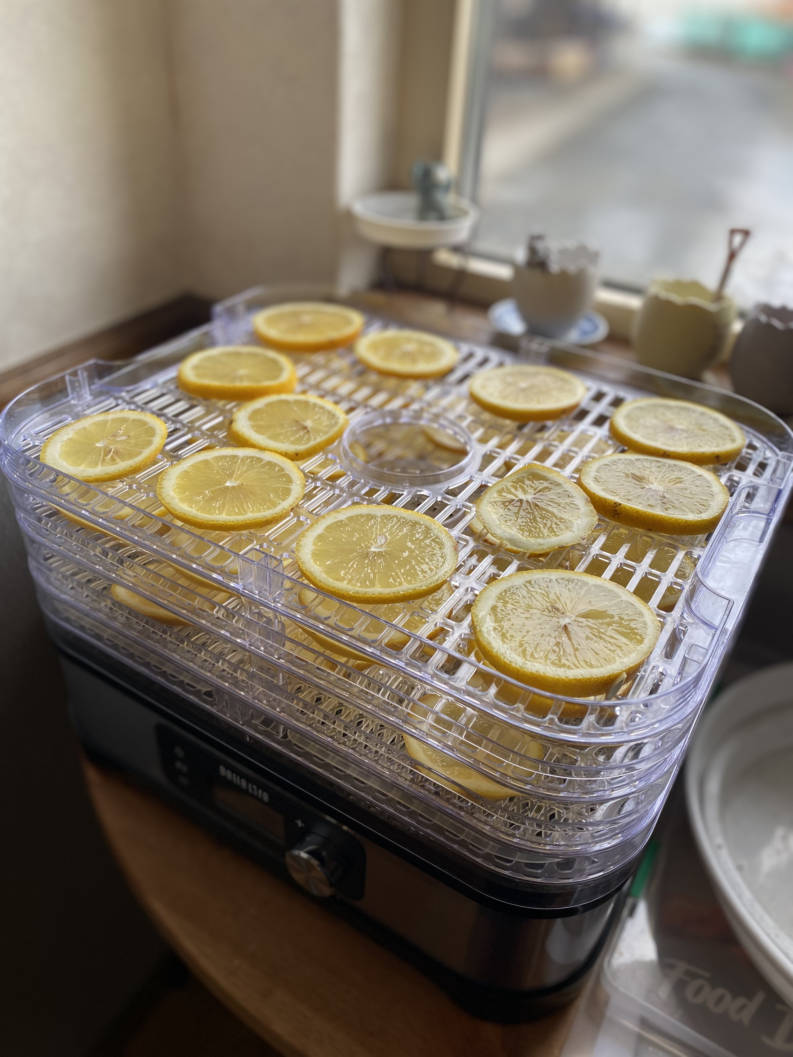 フードドライ②