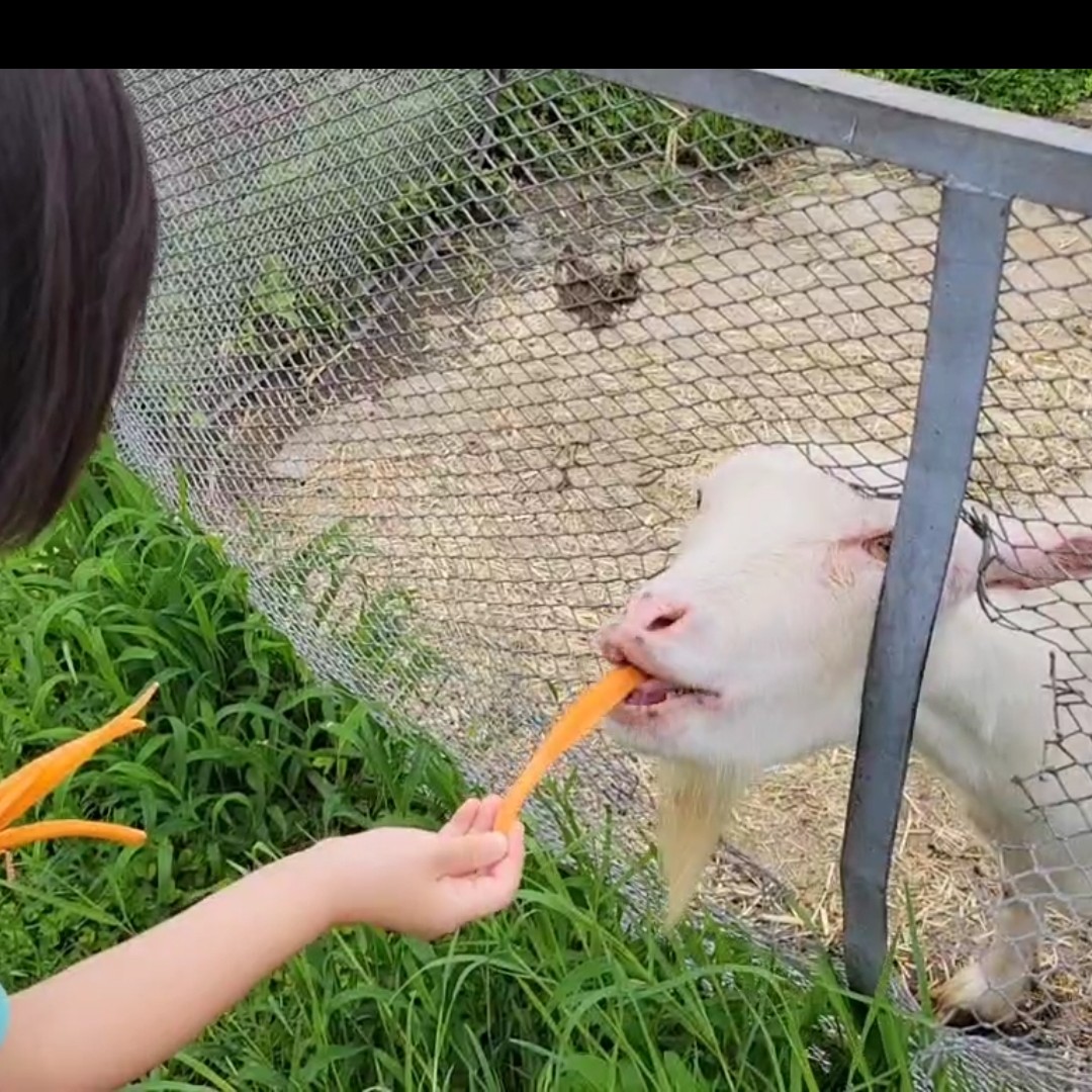 ラッテビアンコ