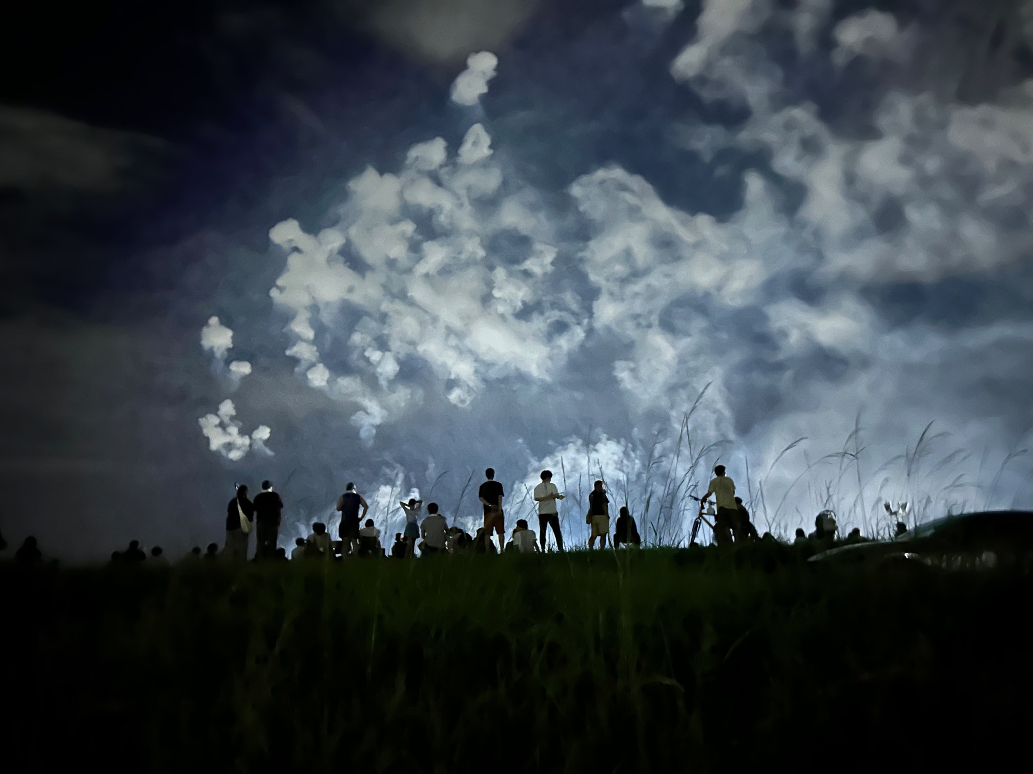 フォトコンテスト