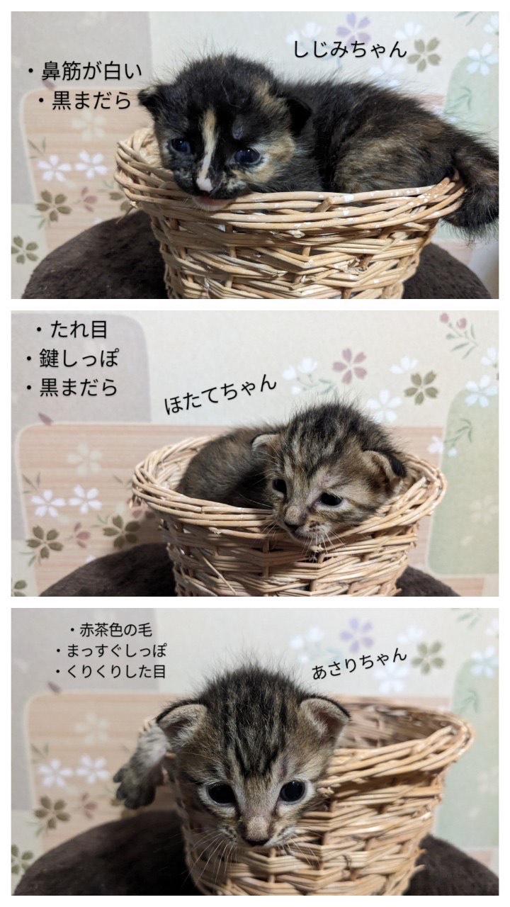 お目目開きました