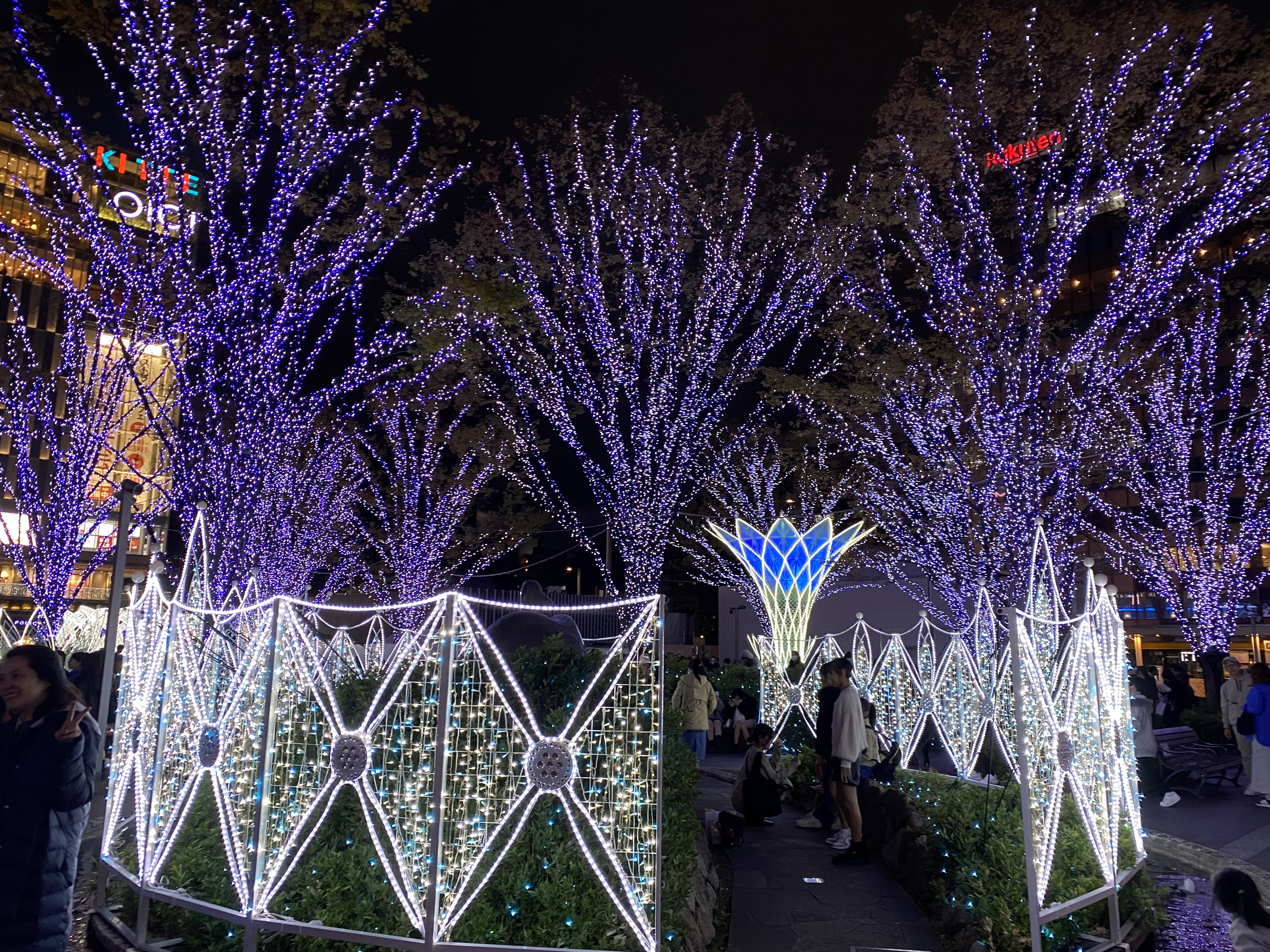 イルミネーション