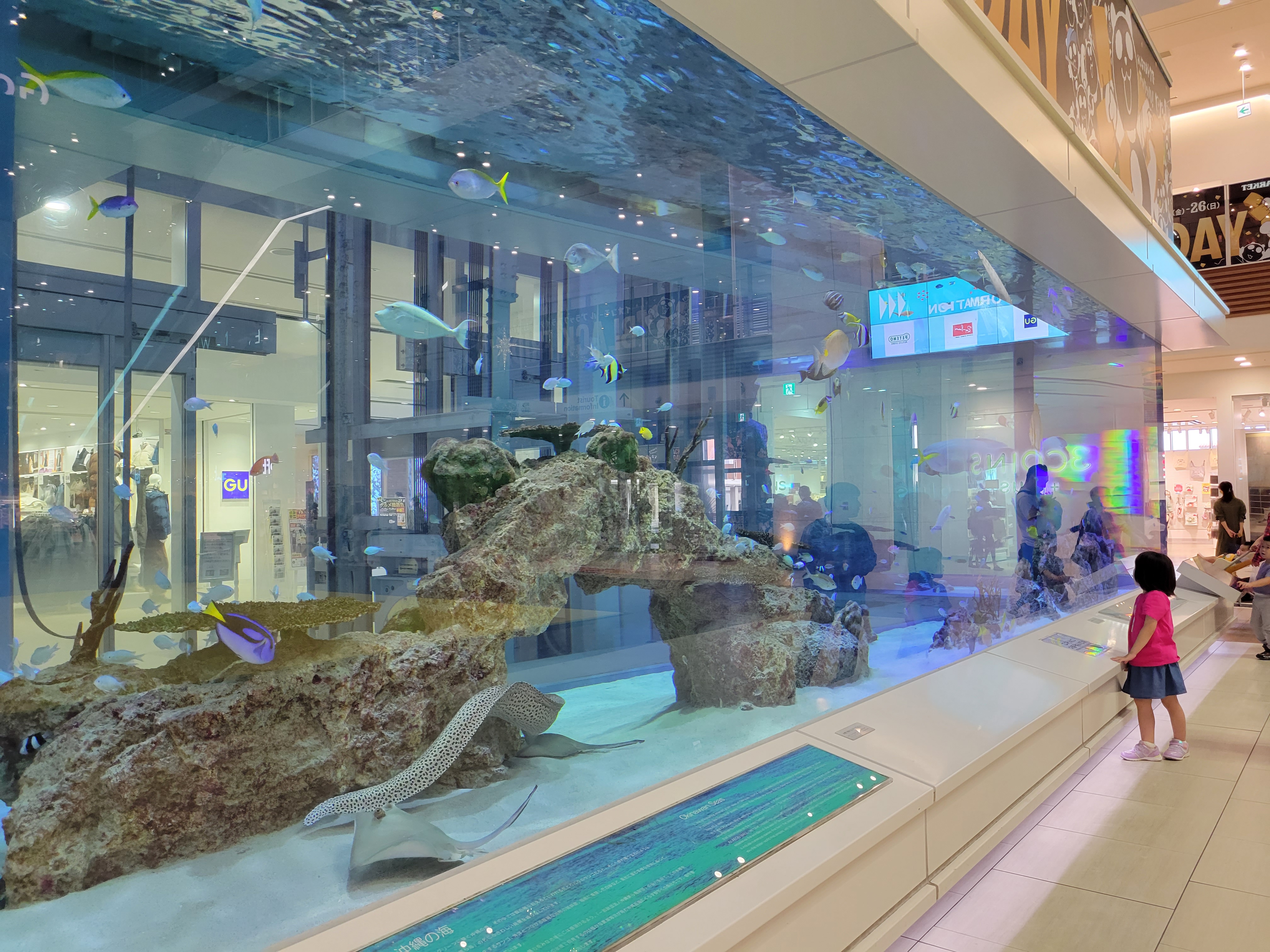 ライカムアクアリウム