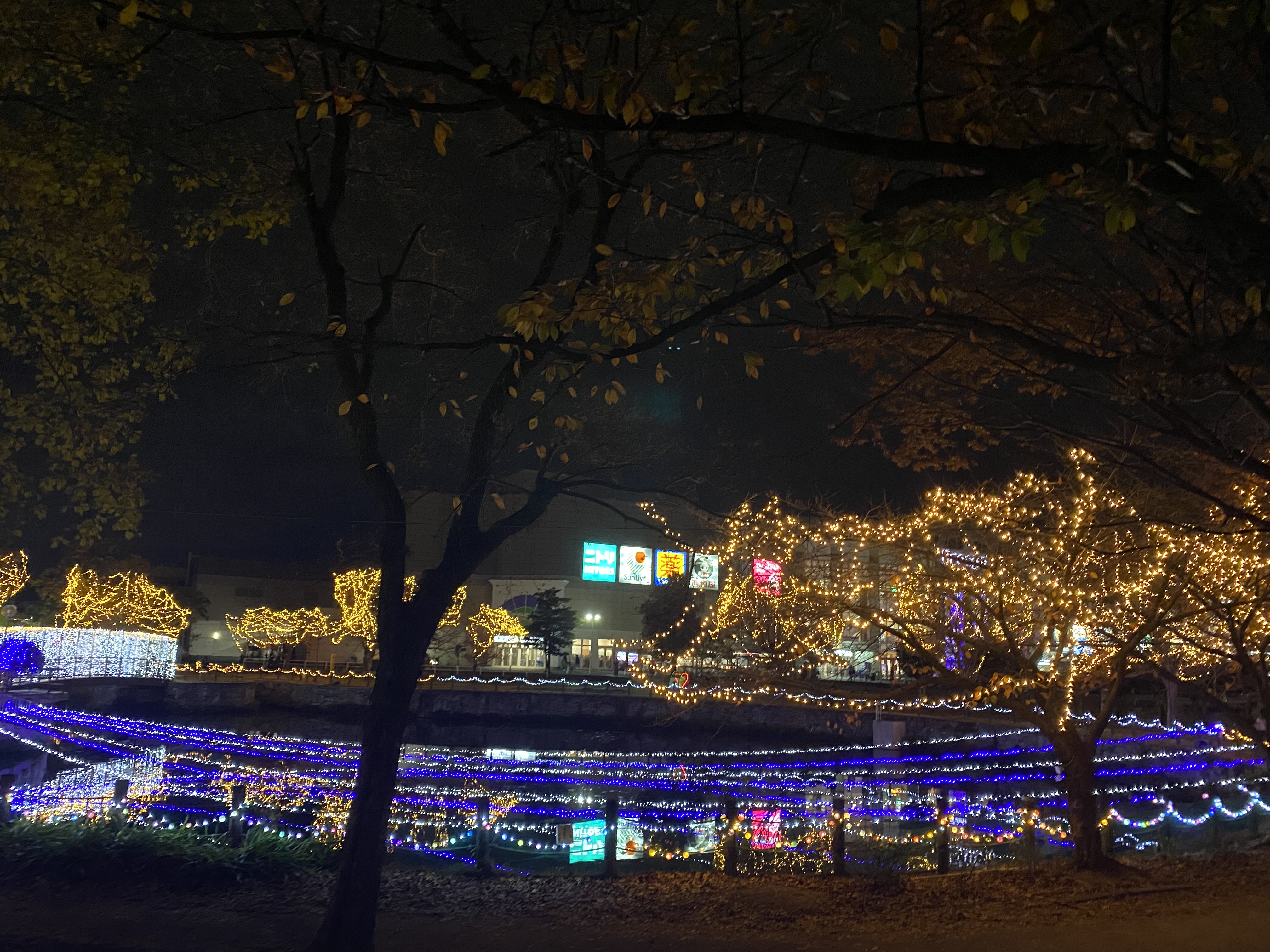 ハートライトフェスタ