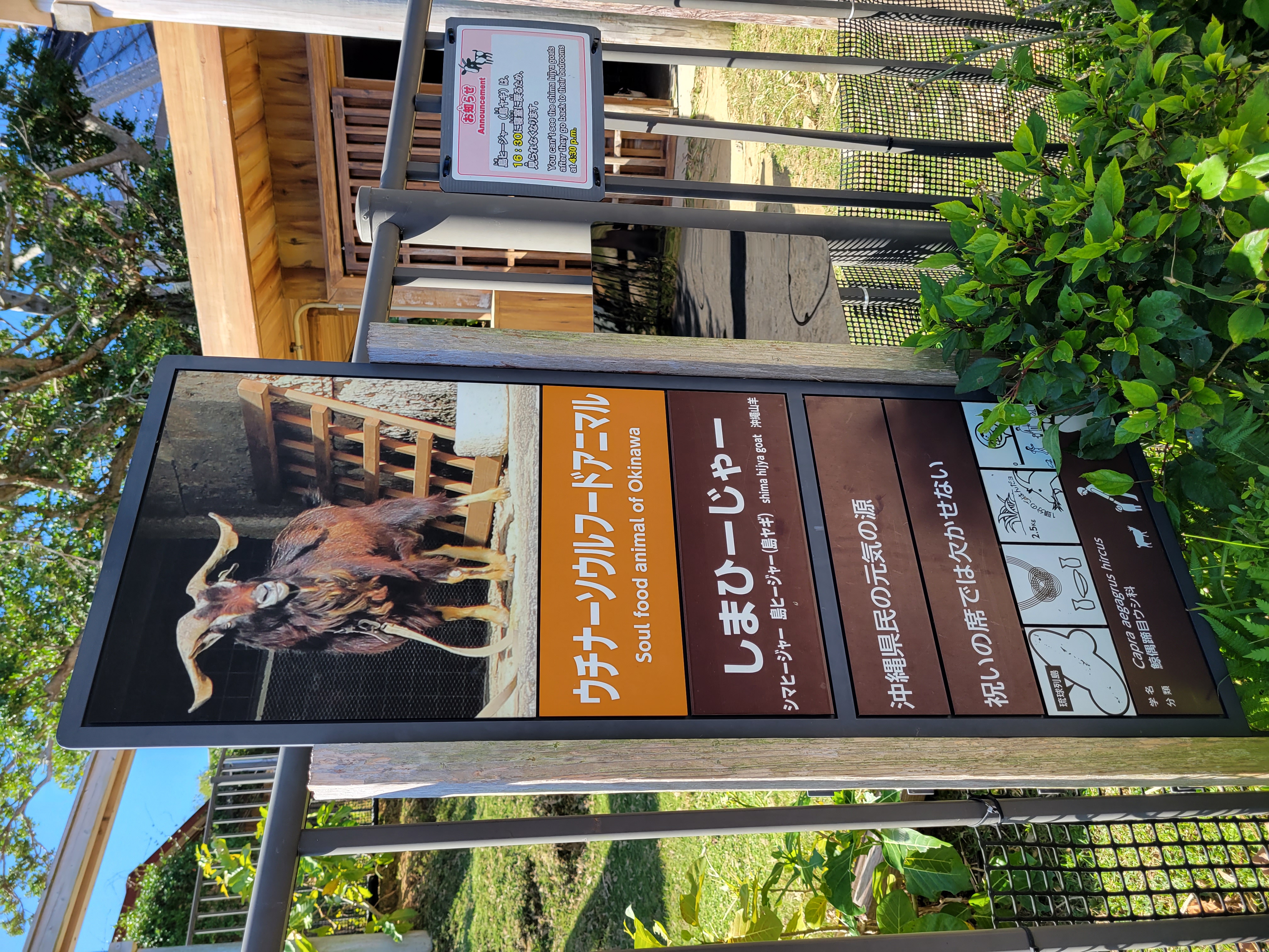 沖縄こどもの国