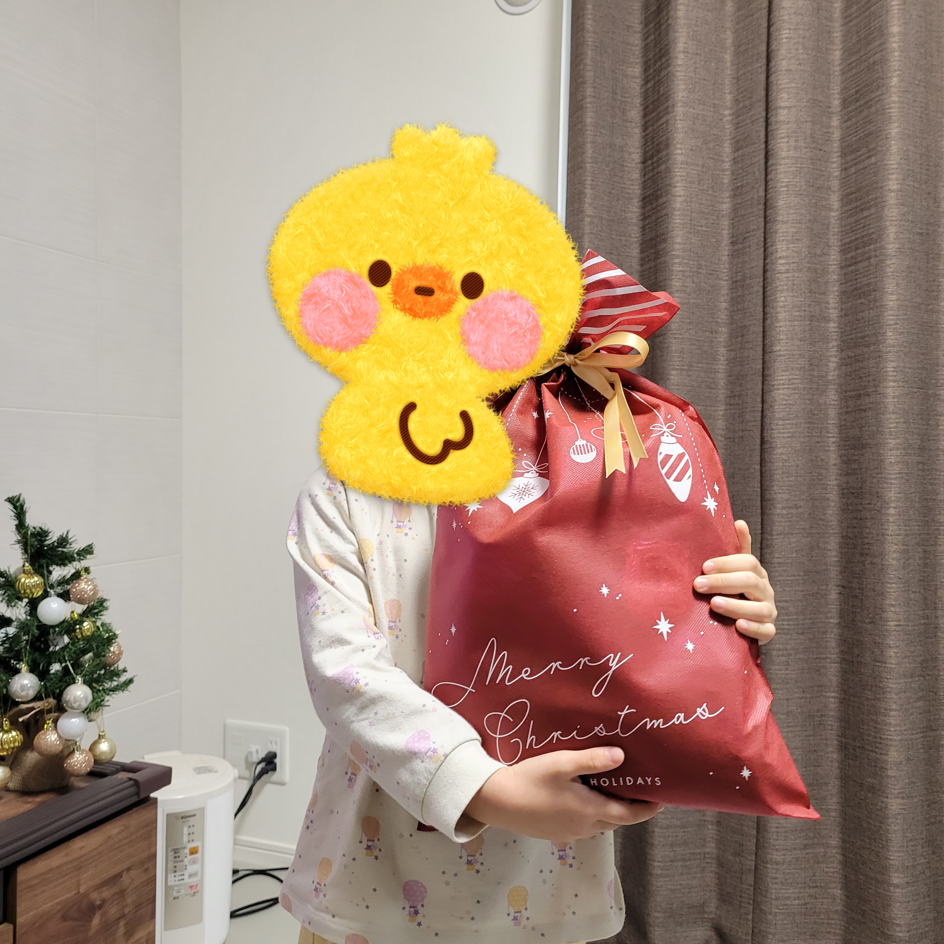 サンタクロース🎅