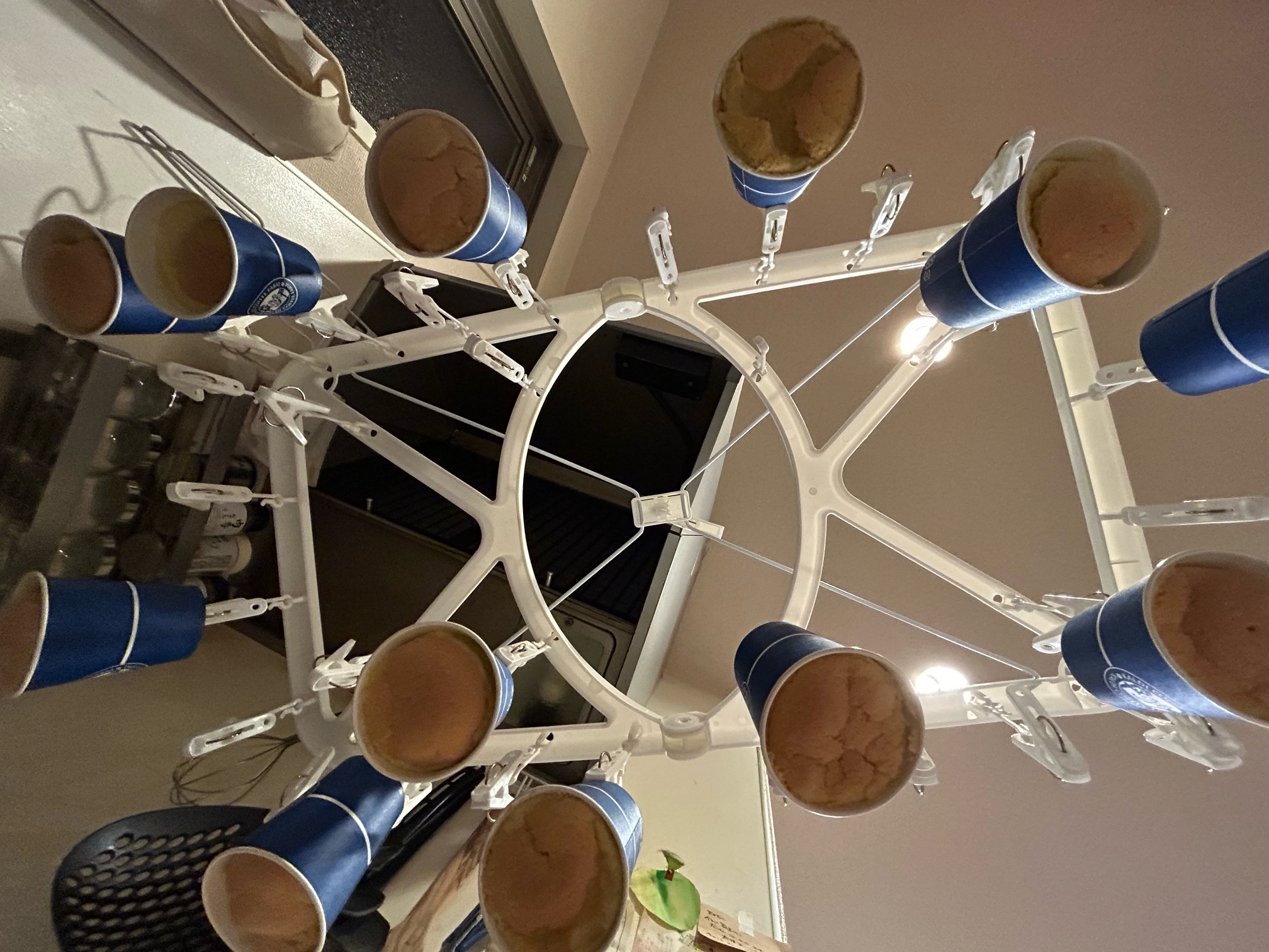 シフォンケーキ