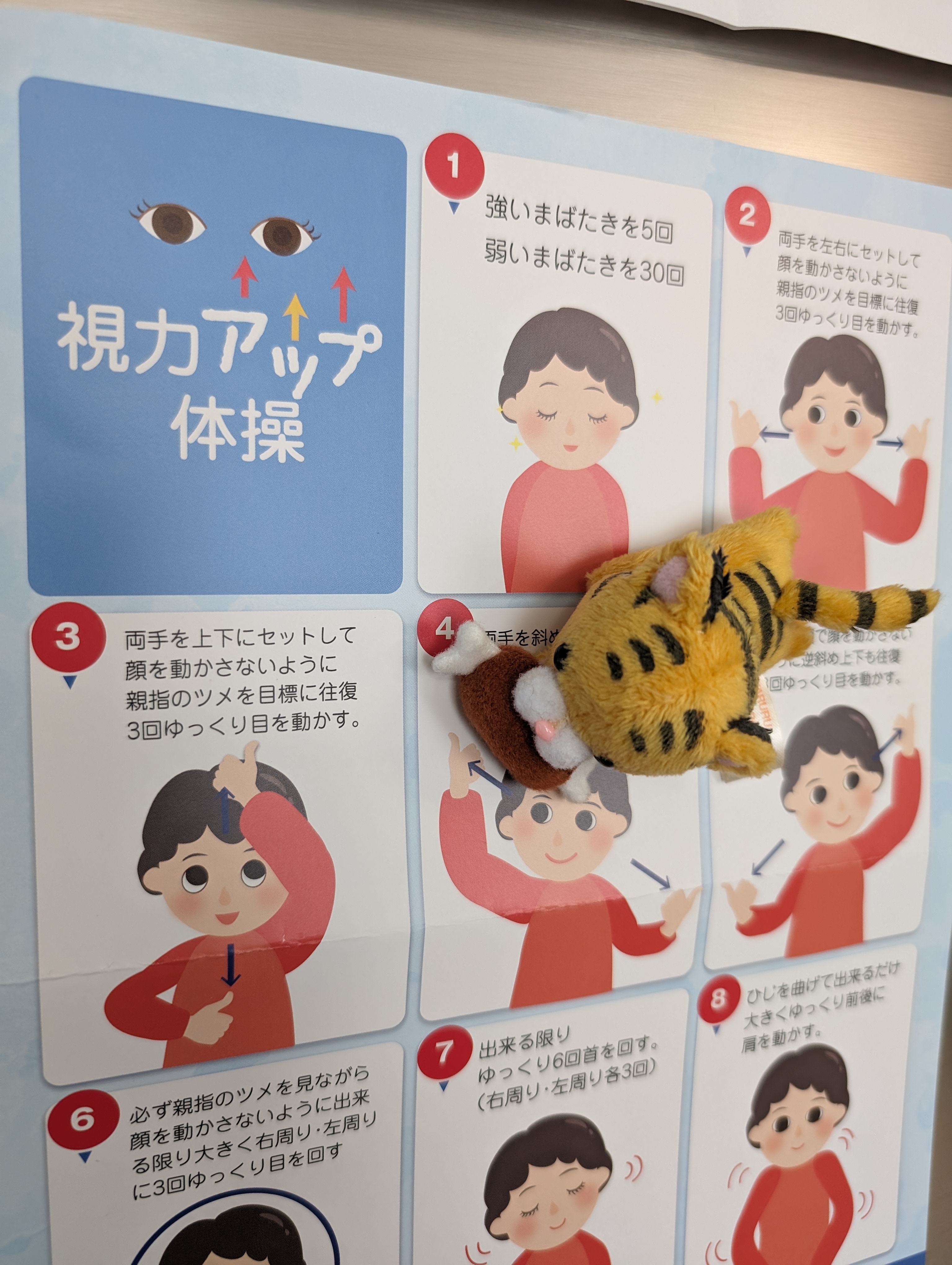 視力アップ体操