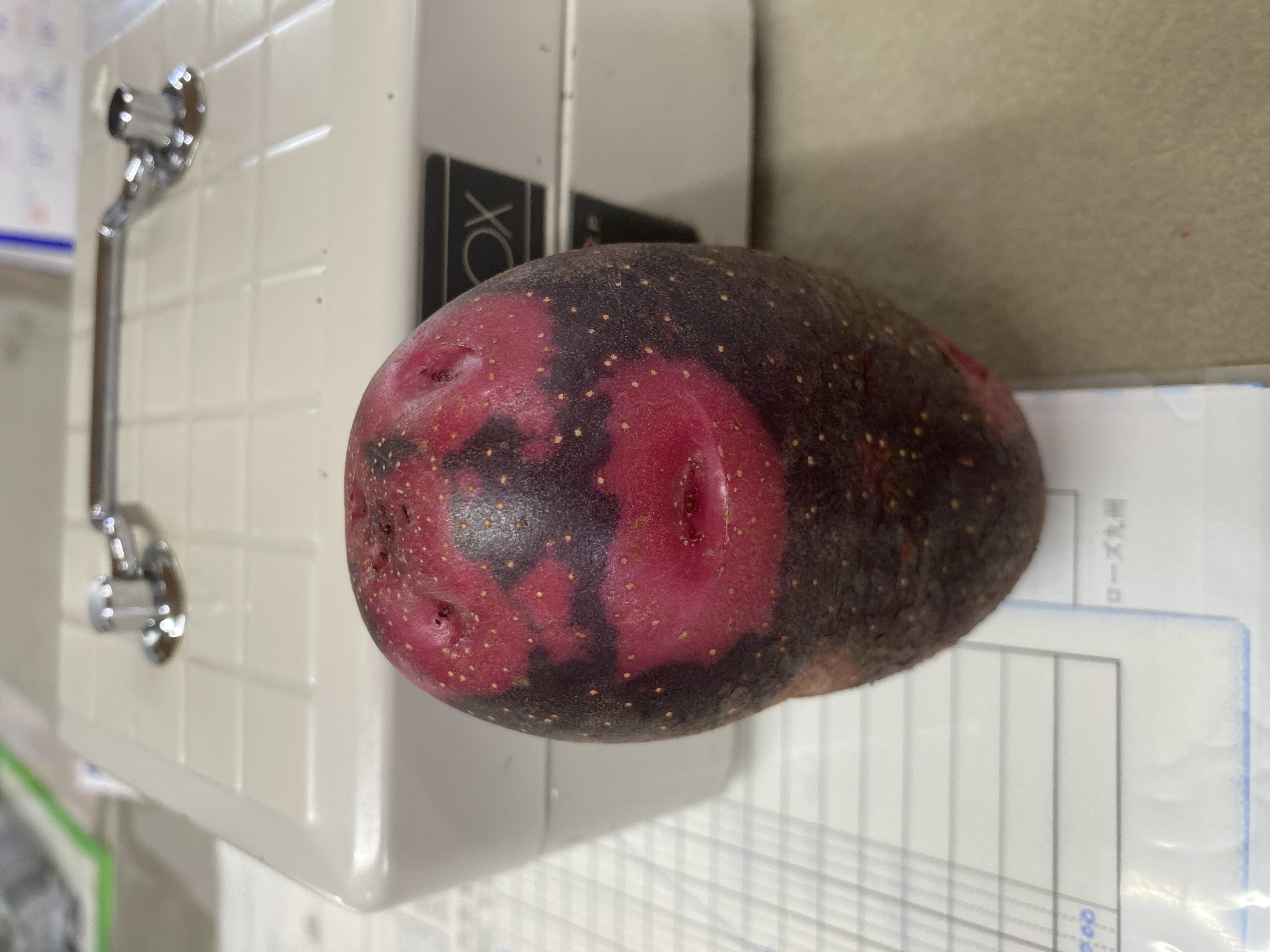 デストロイヤー