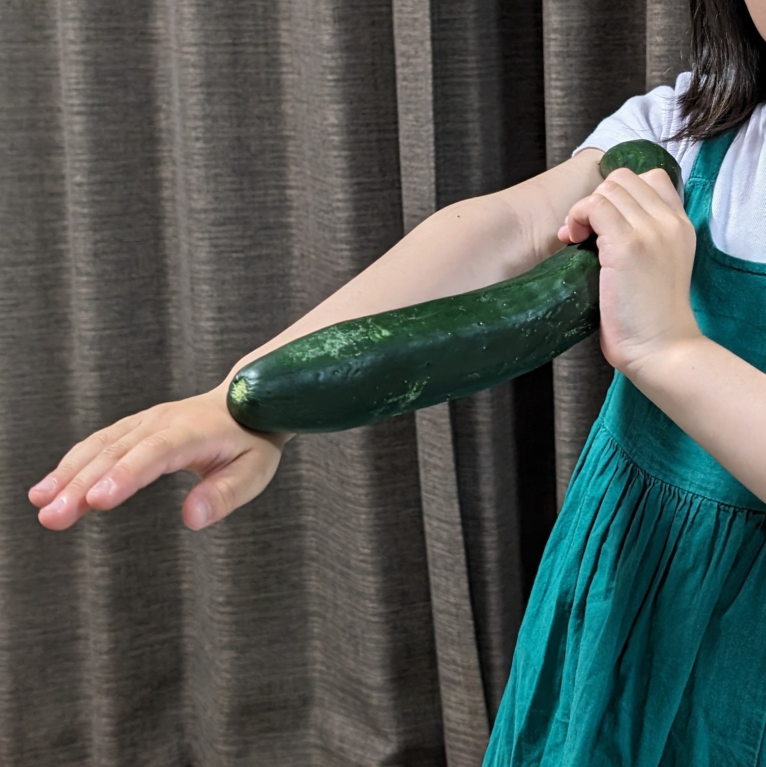 巨大きゅうり🥒