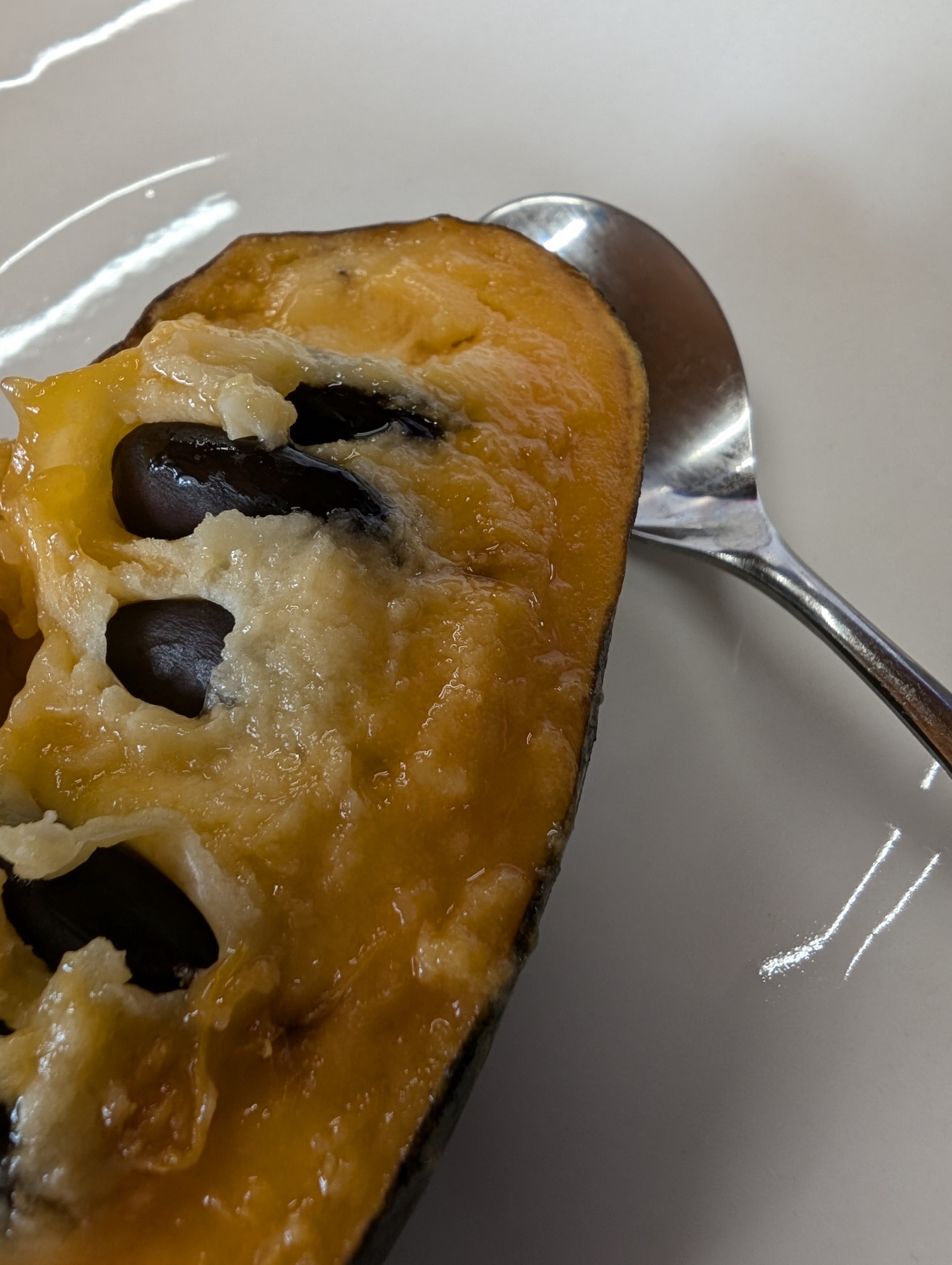 幻のフルーツ　ポポー