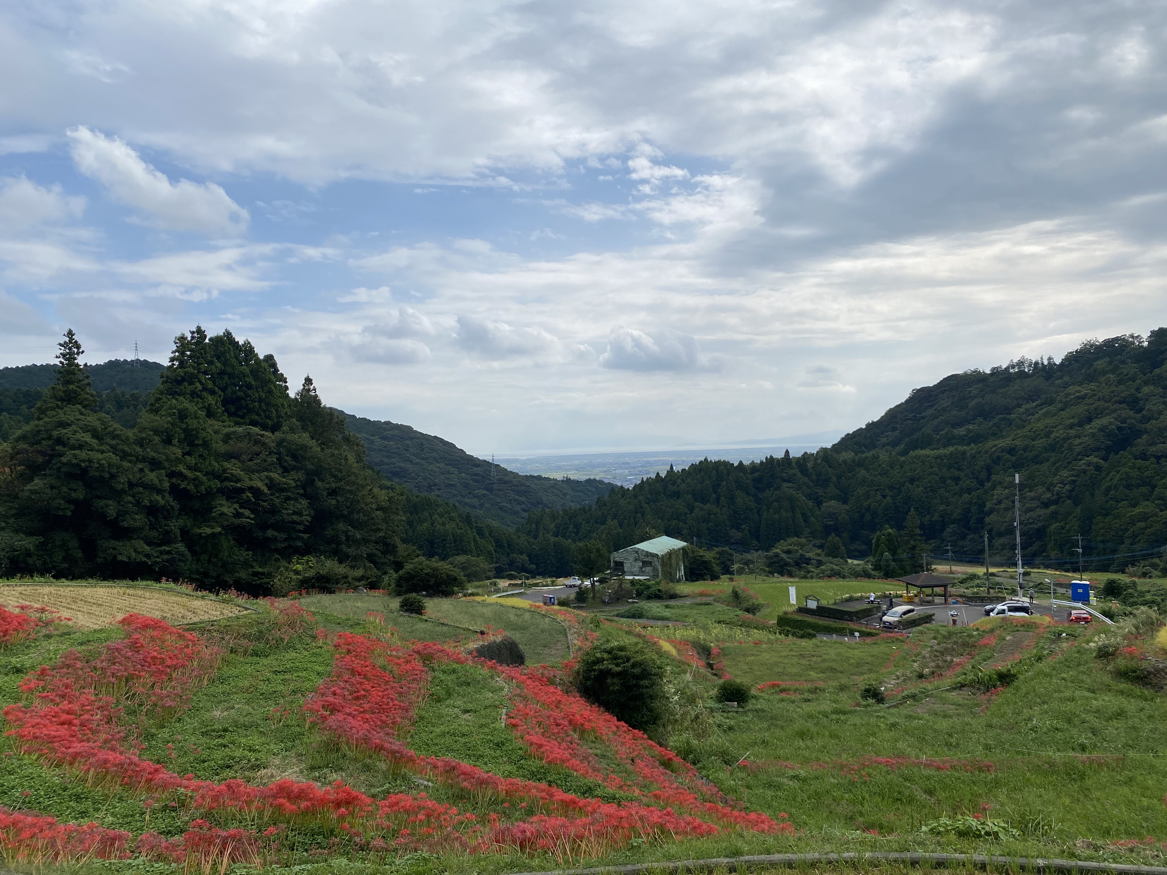 江里山の彼岸花