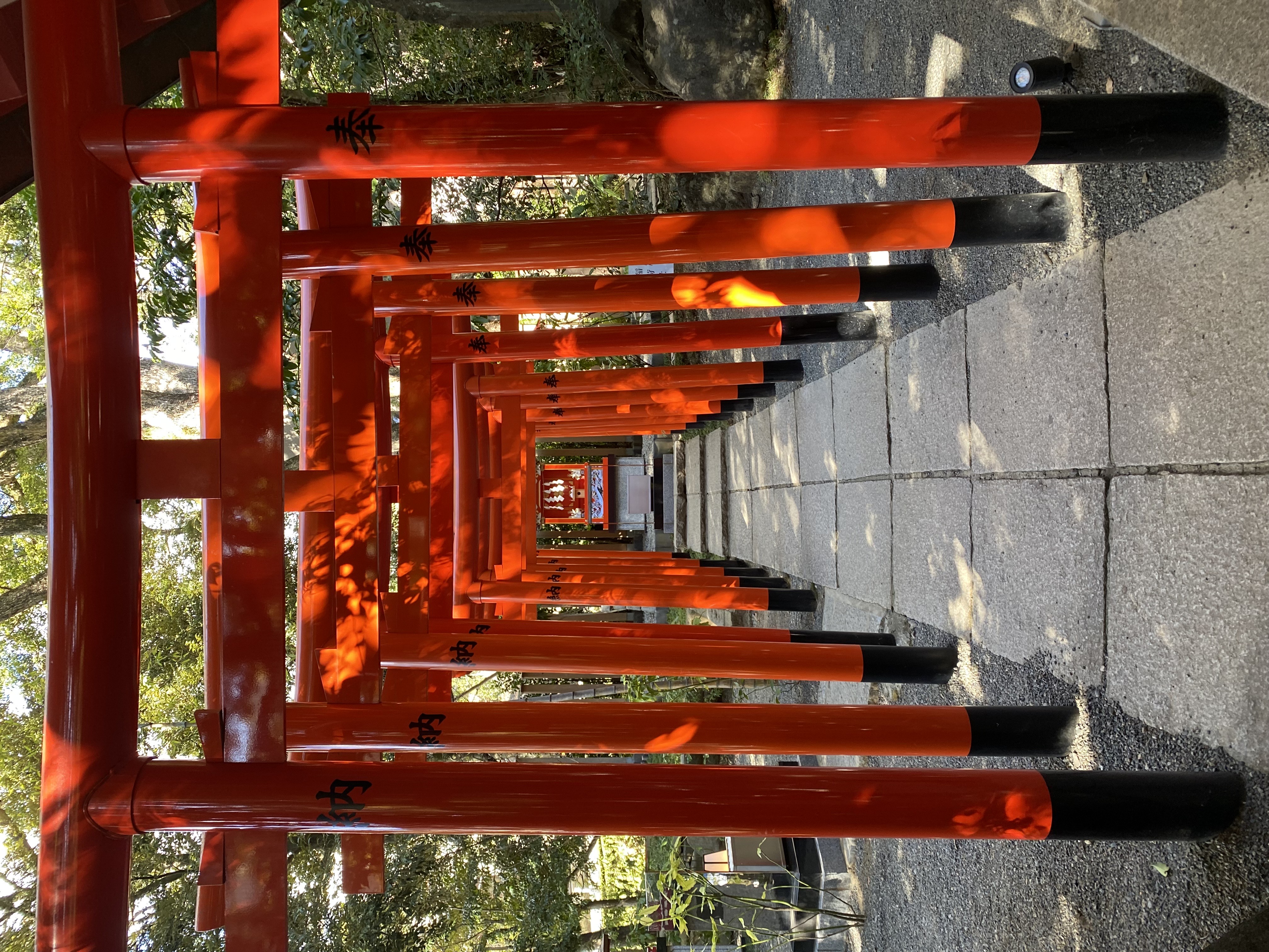 熱海　來宮神社