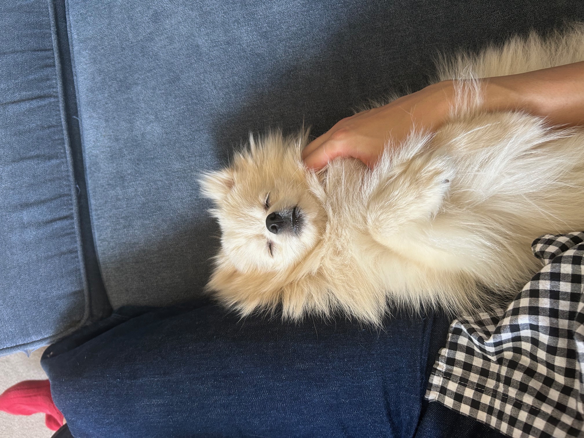 もうひとつの推し活