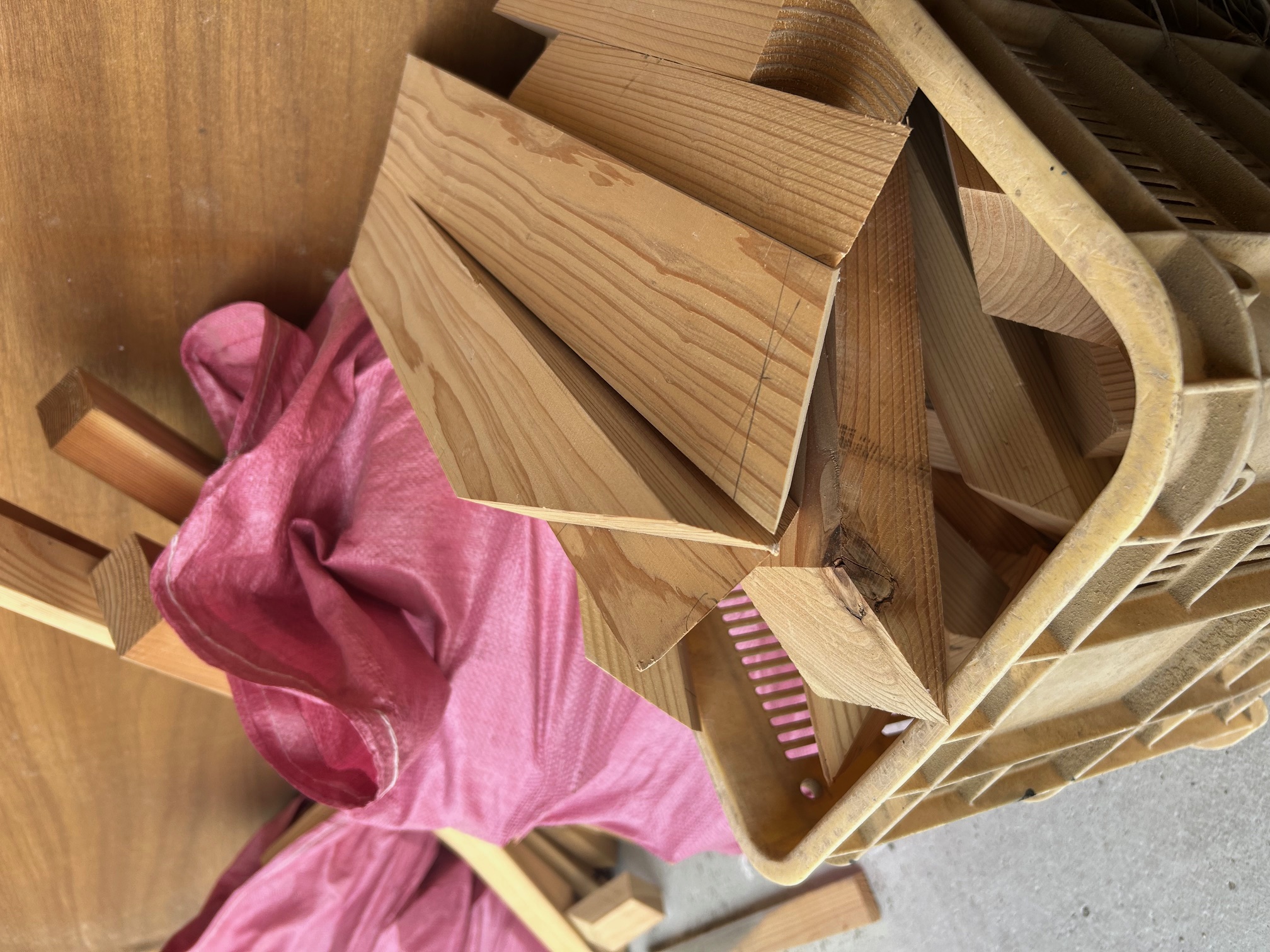 今週末は春の感謝祭🌸