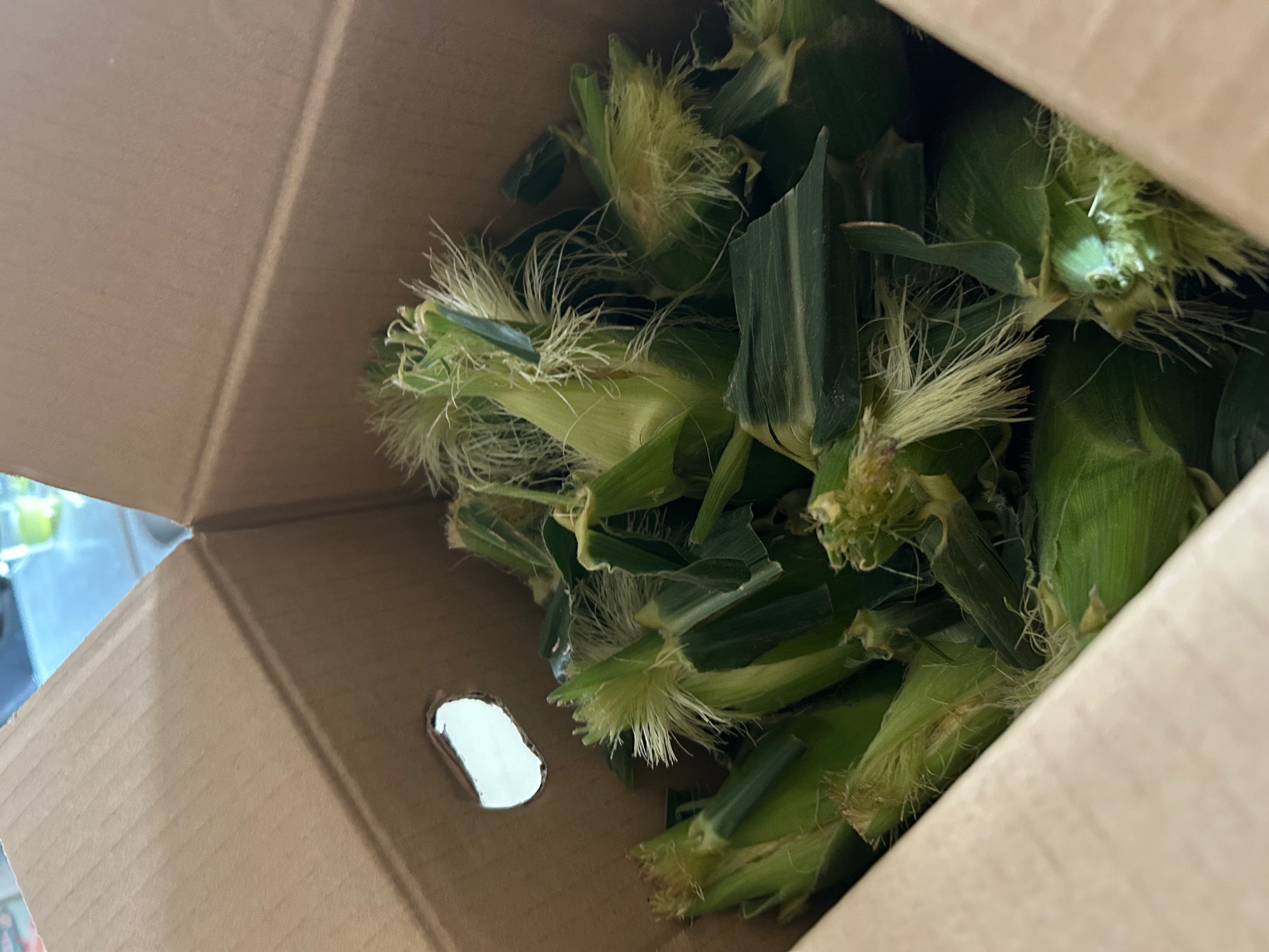 スイートコーン