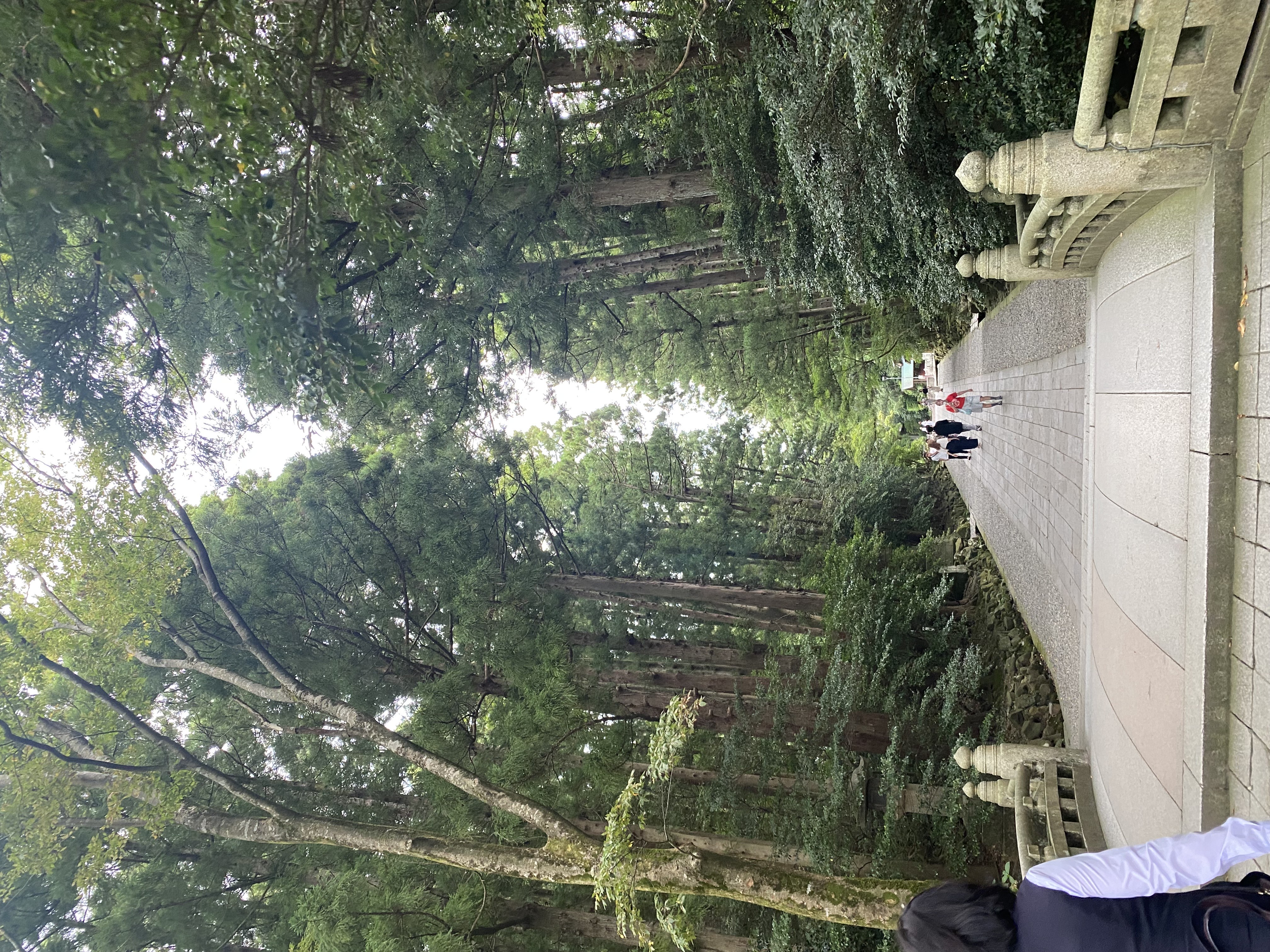 社員研修の旅⑧