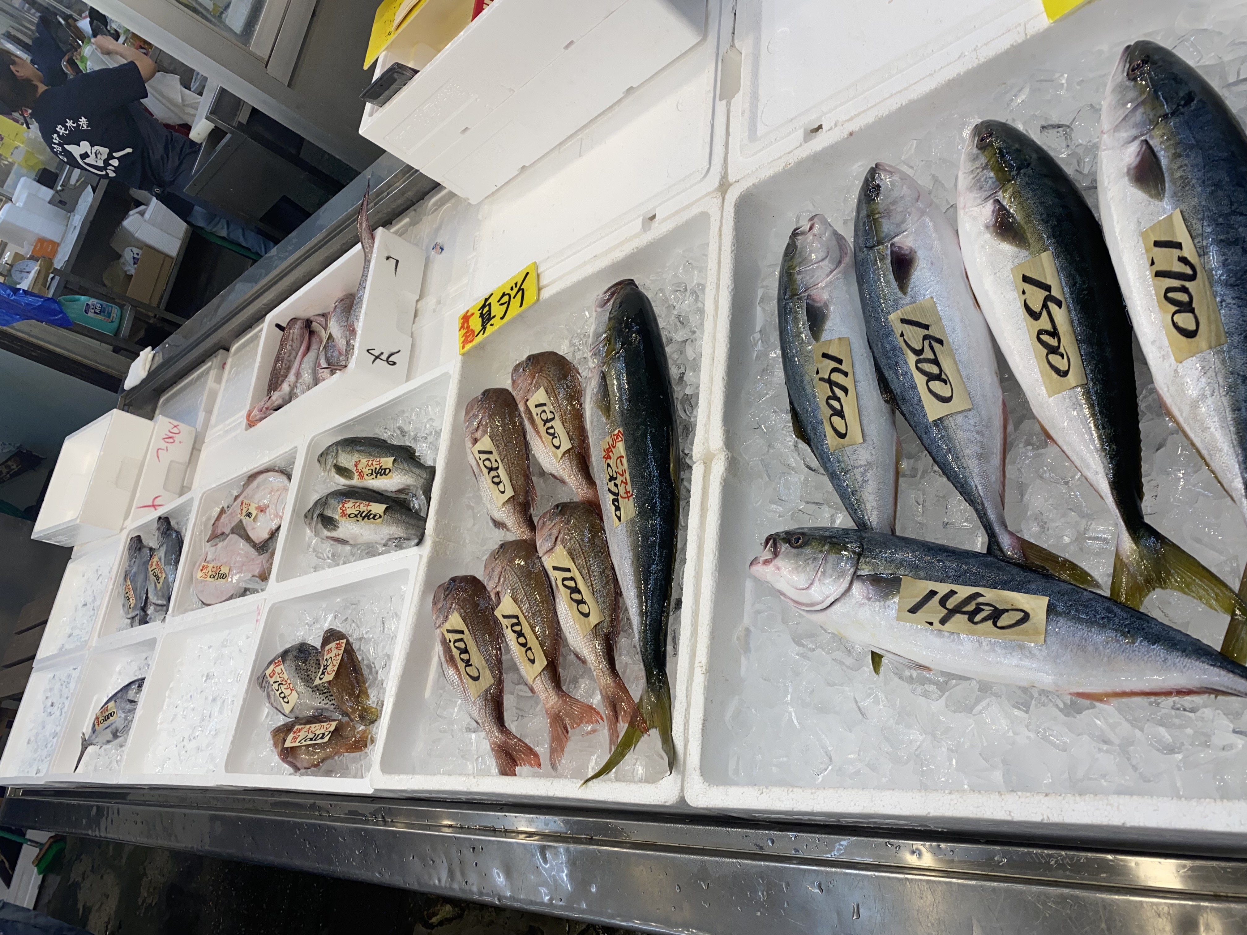 社員研修の旅⑩