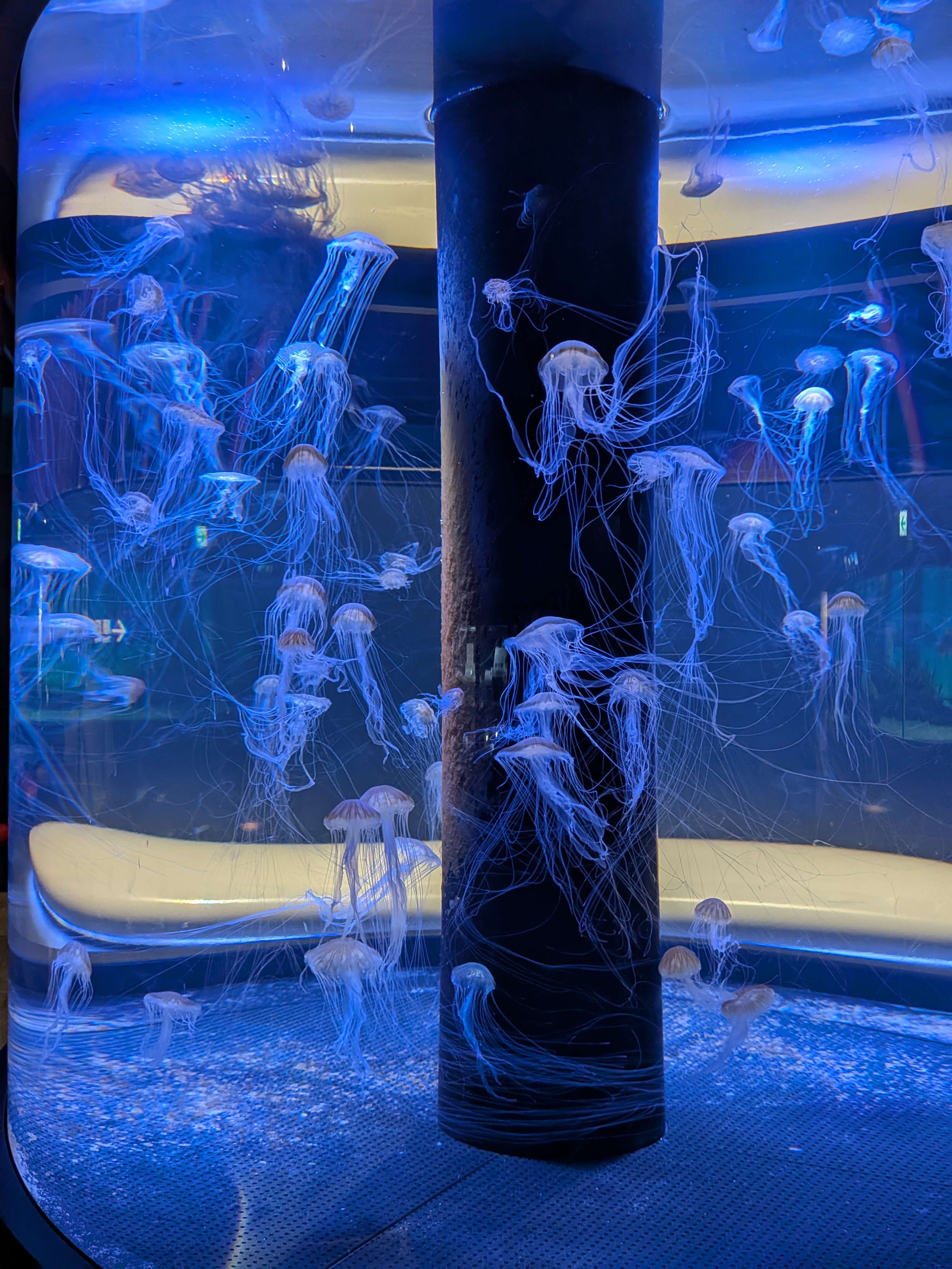 社員研修の旅⑫