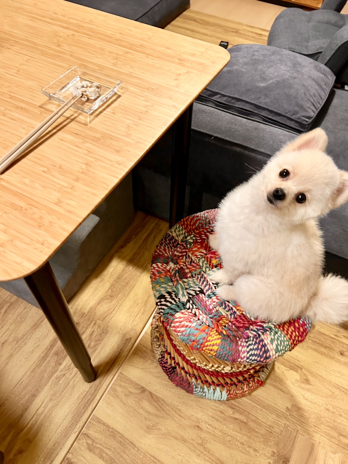 お魚
